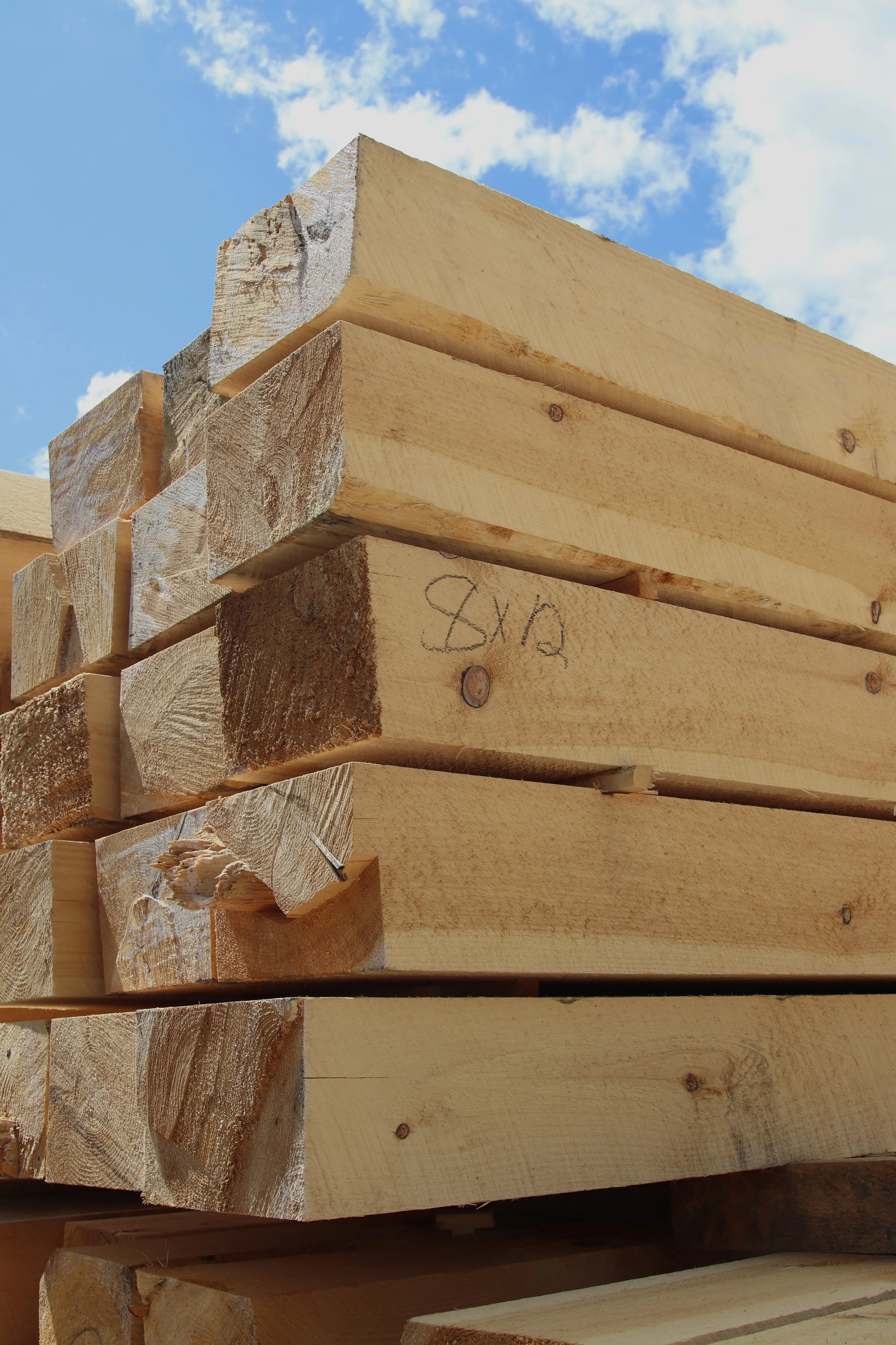 IMG_6388 PIETTE SAWMILL.JPG