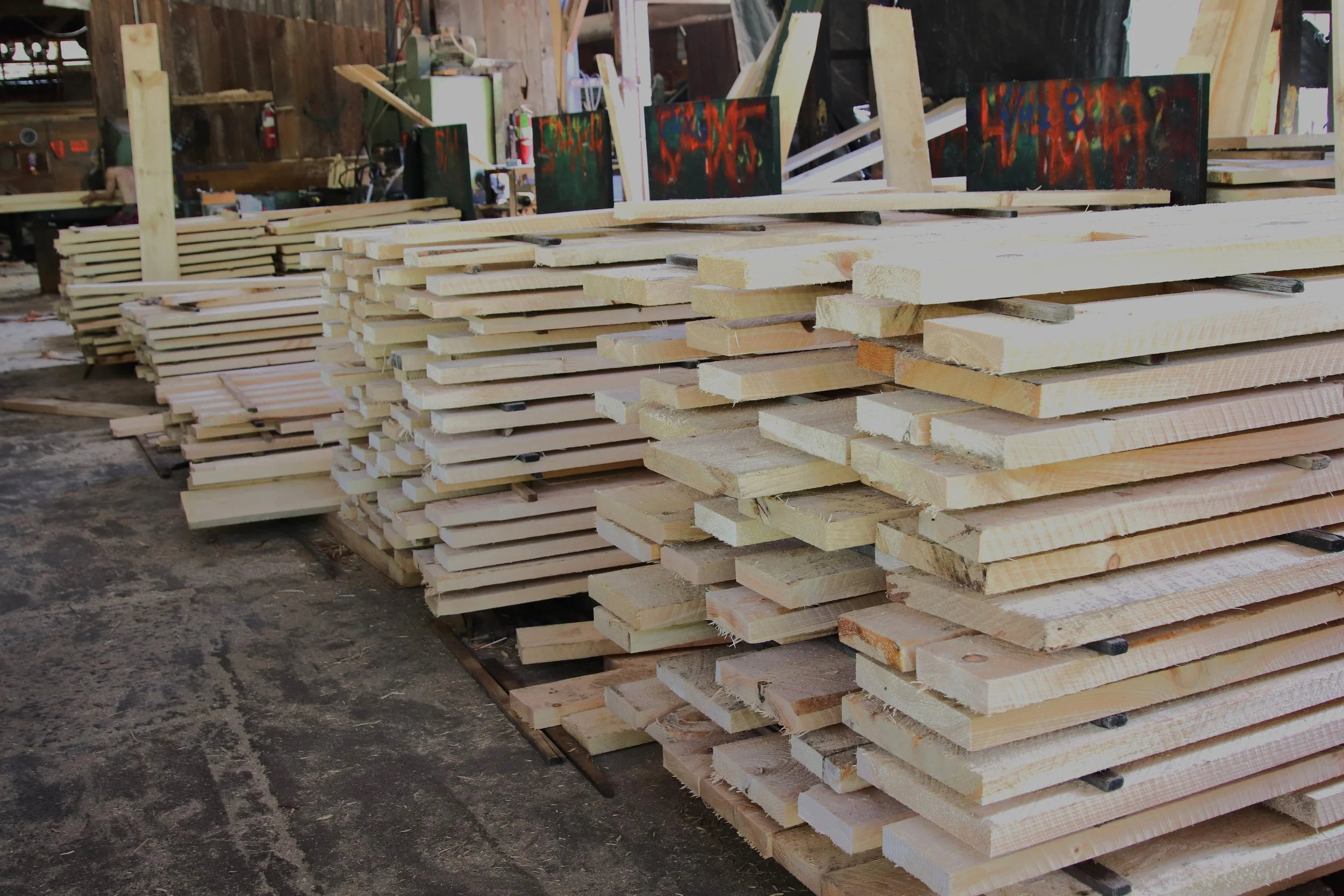 IMG_6436 PIETTE SAWMILL.JPG