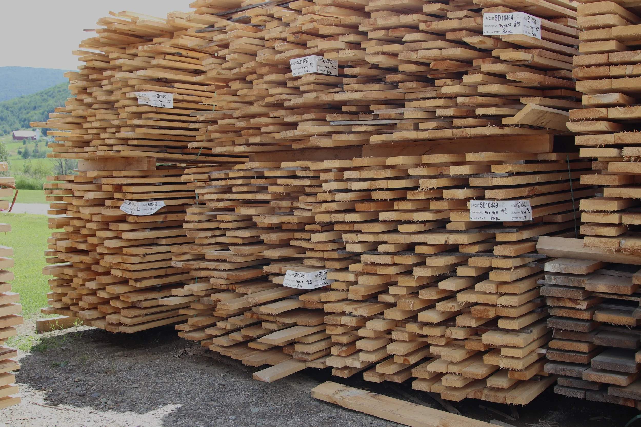 IMG_6399 PIETTE SAWMILL.JPG