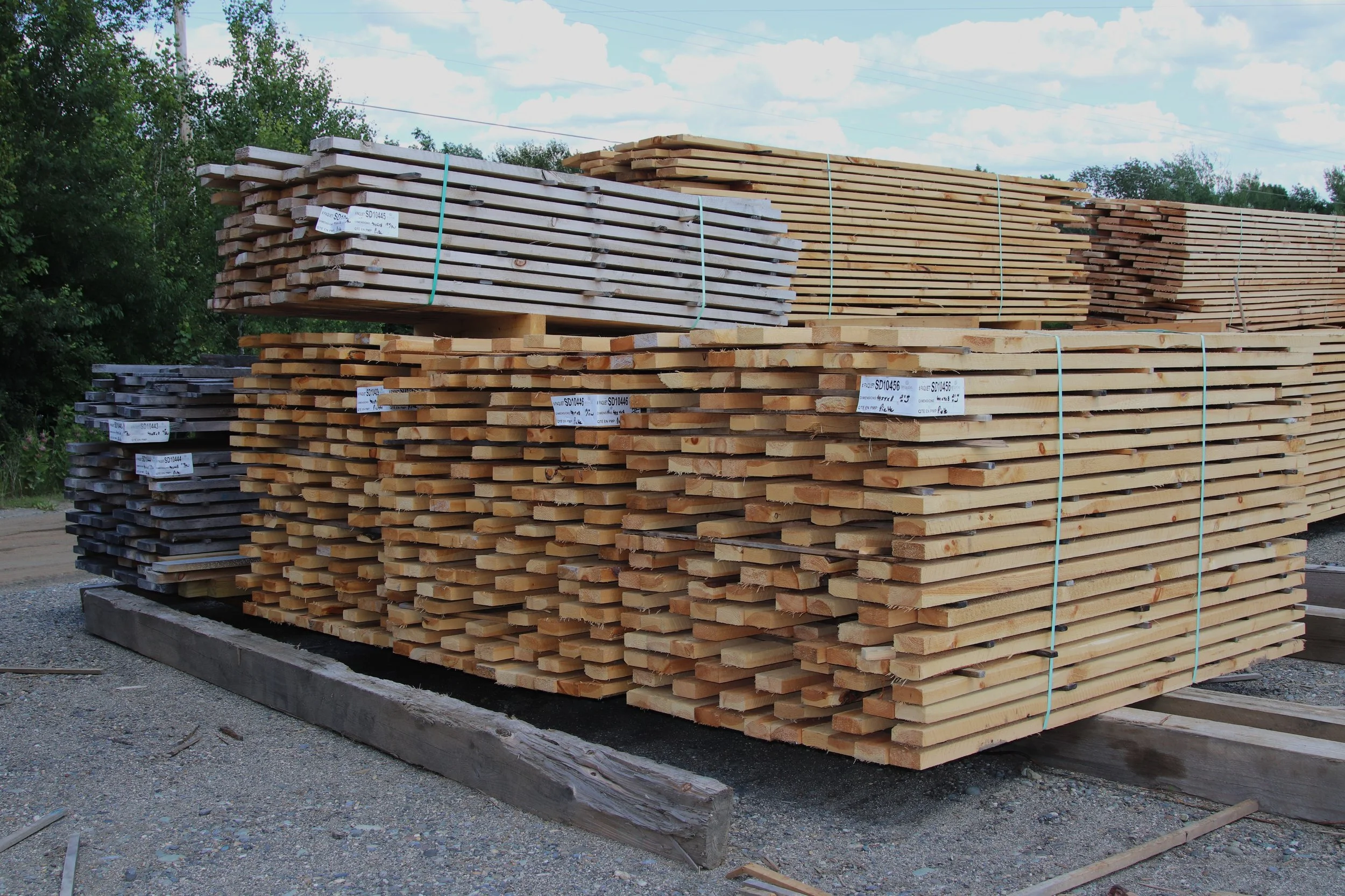 IMG_6404 PIETTE SAWMILL.JPG