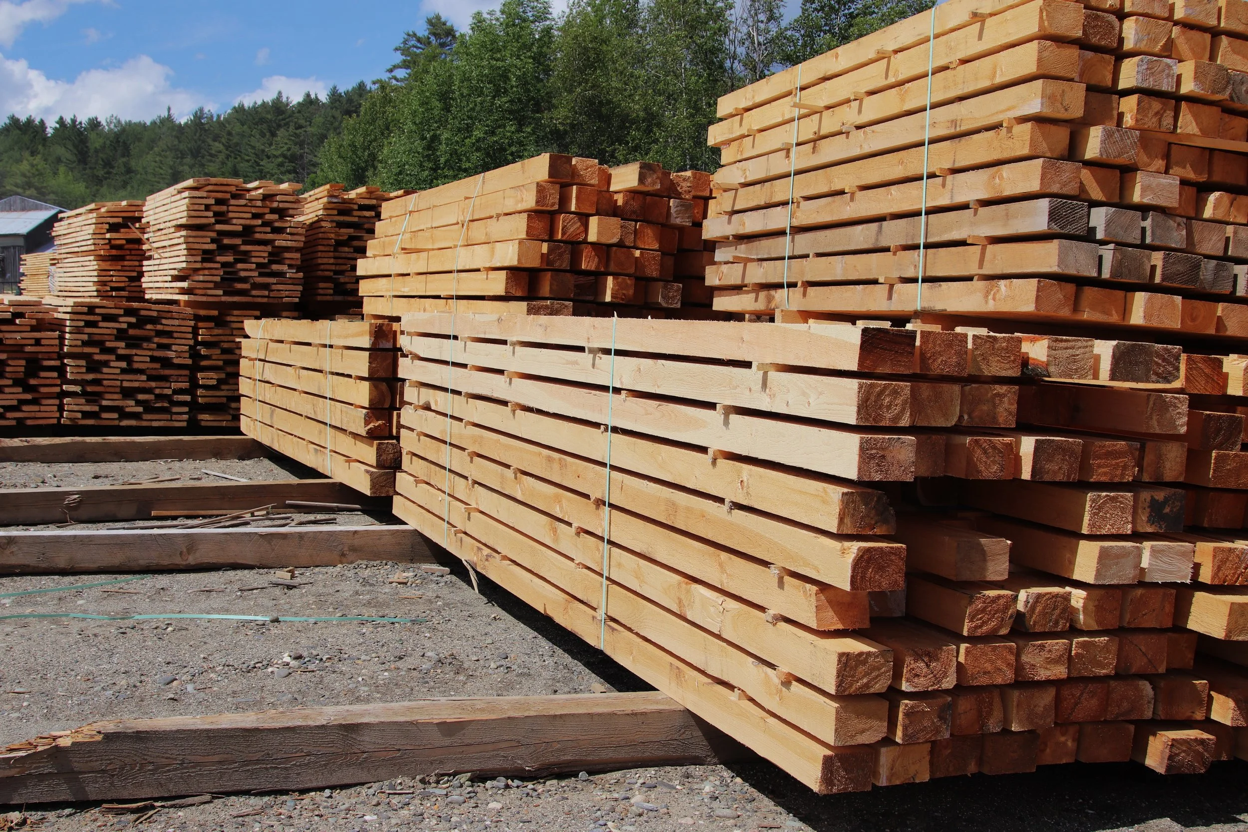 IMG_6402 PIETTE SAWMILL.JPG