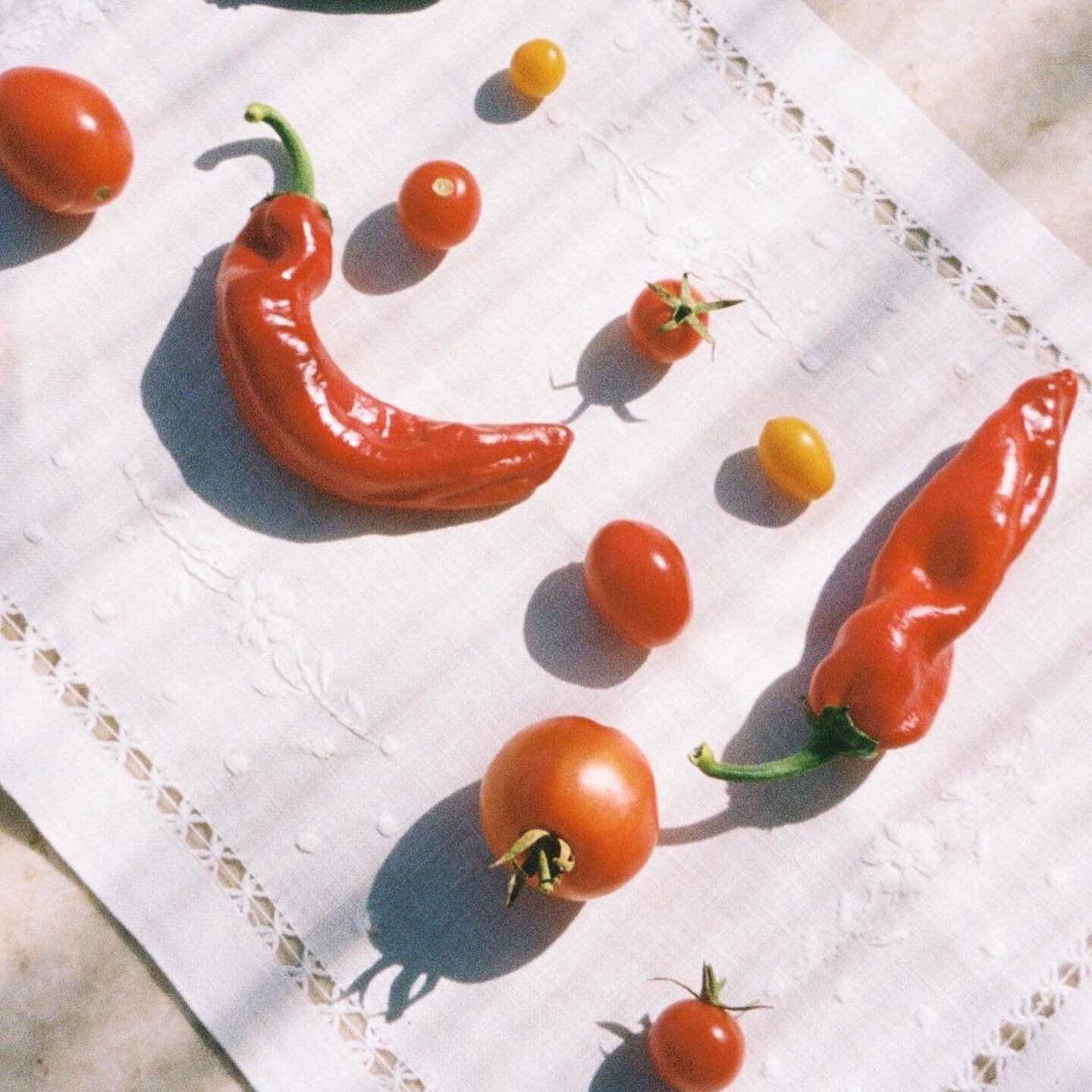 The taste of Summer by @valeria.vasi 🌶 🍅 🌞