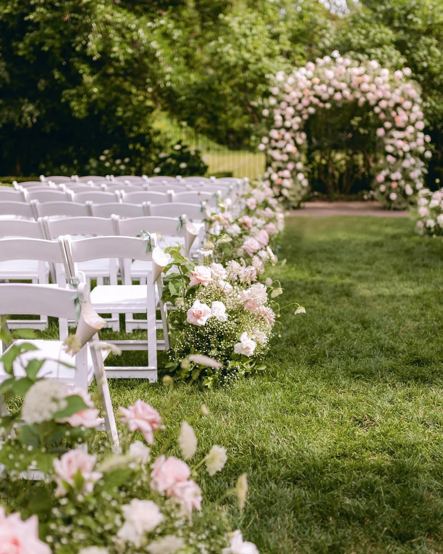 [image] - 2016608.jpg