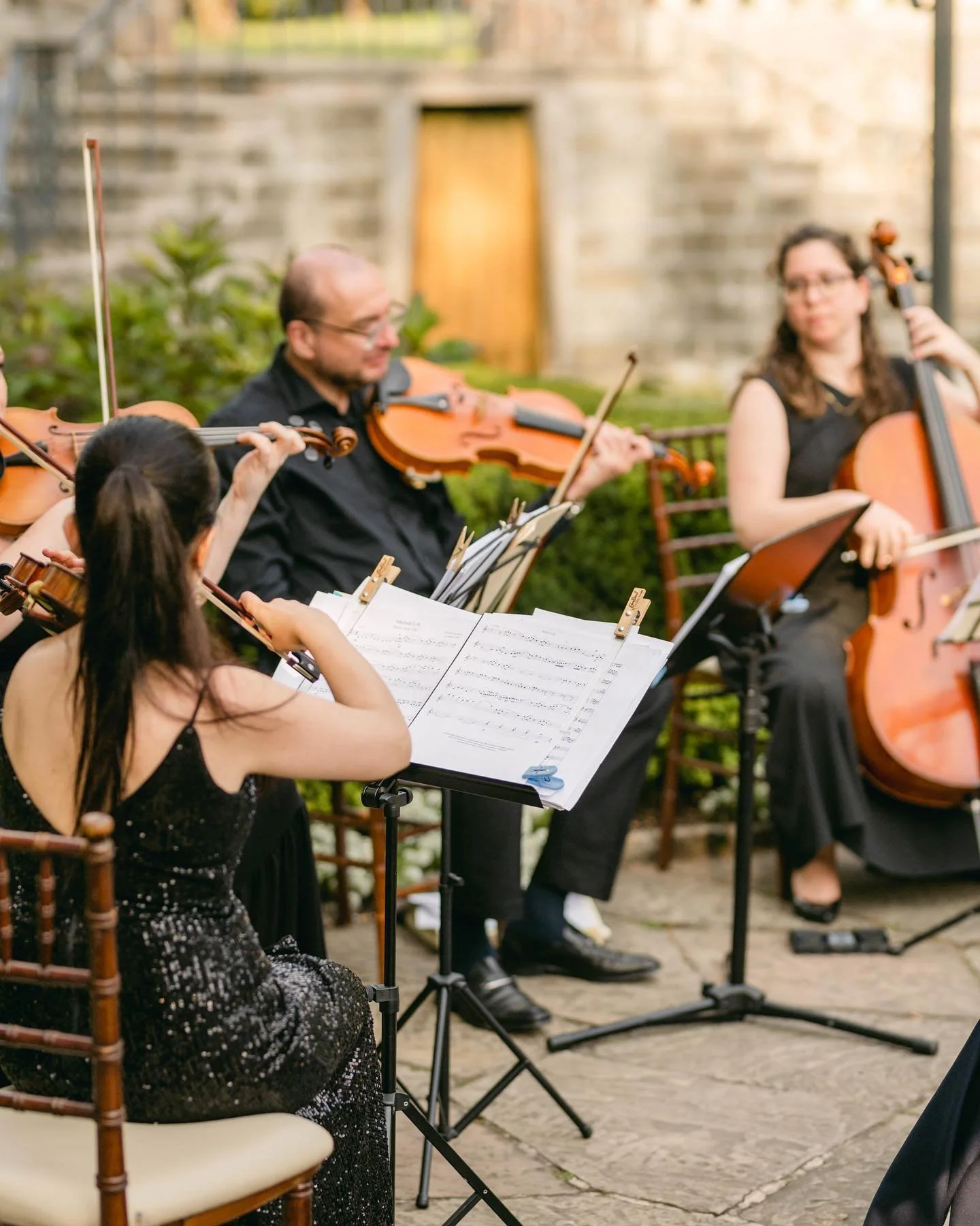 [image] - 6433434.jpg