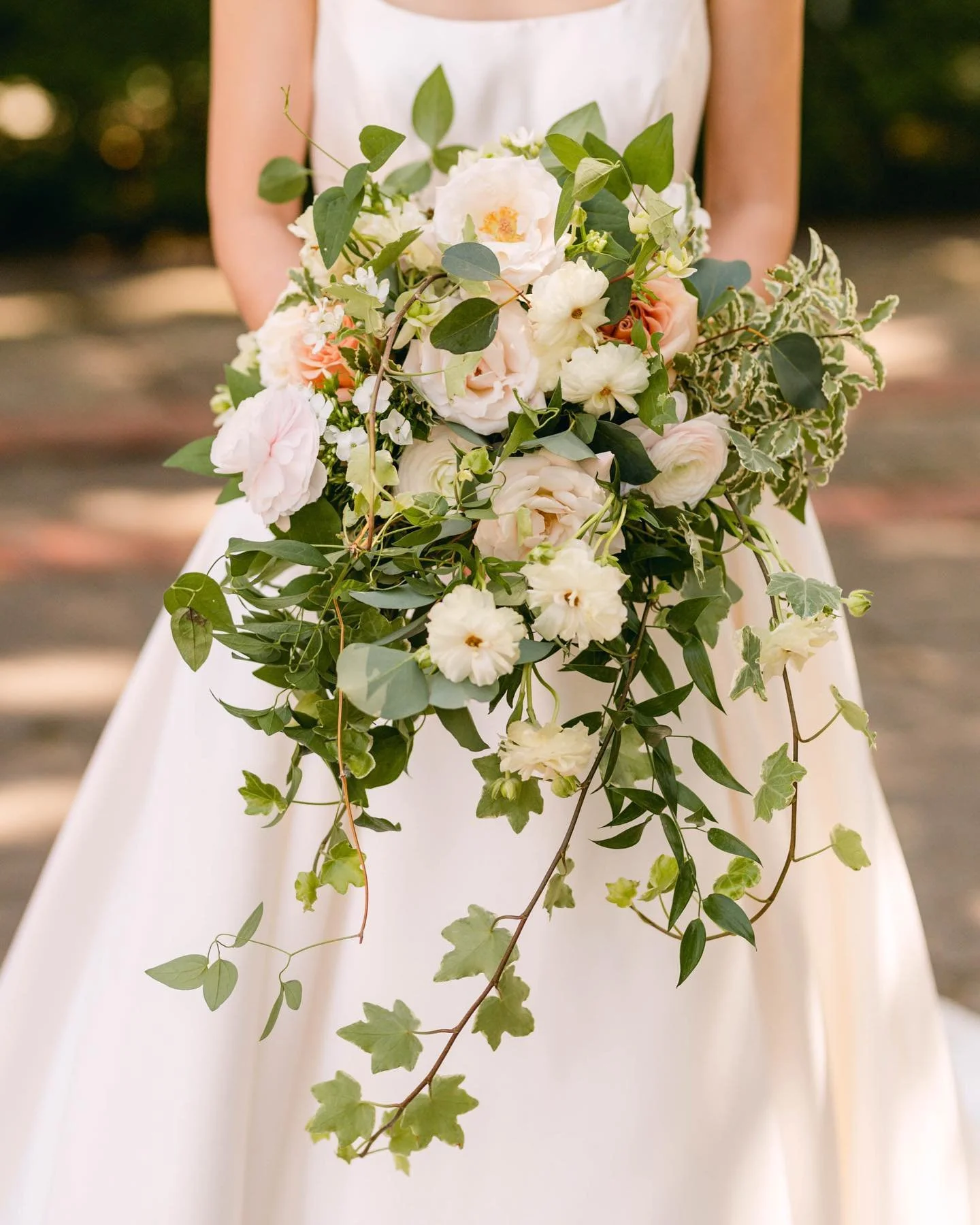 [image] - 7997194.jpg