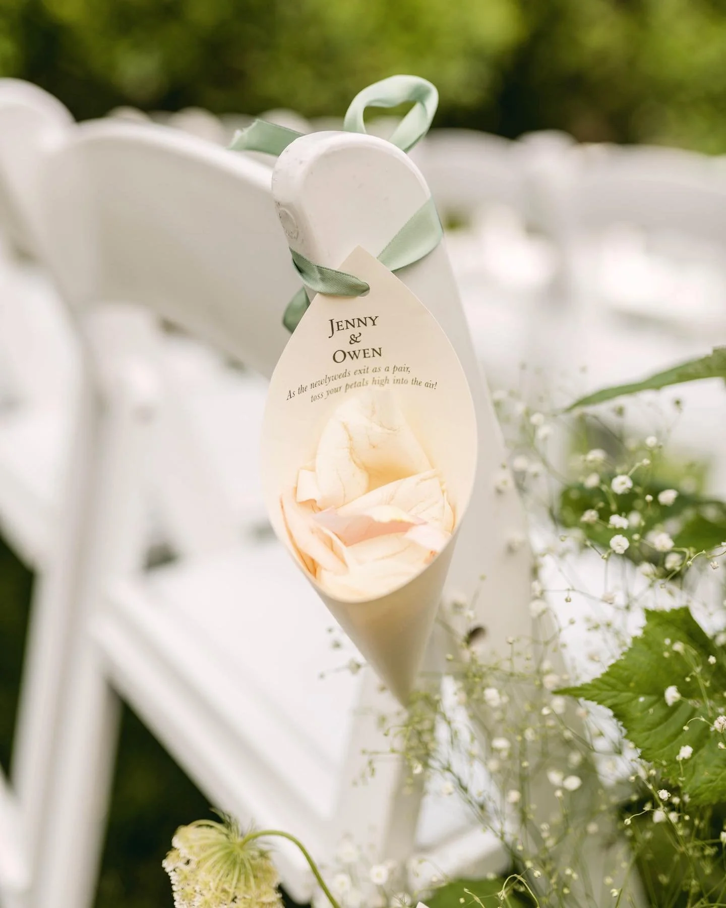 [image] - 9702313.jpg