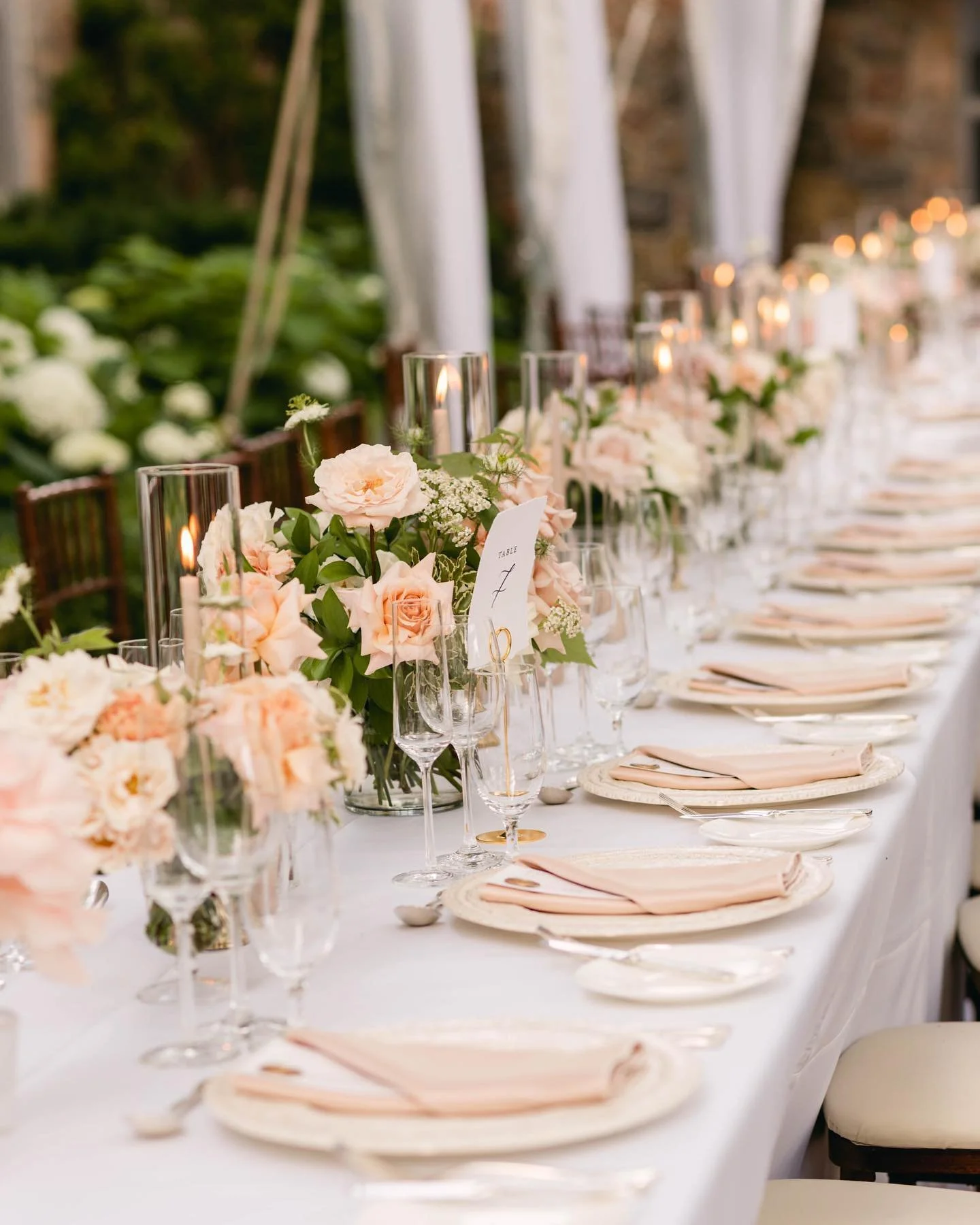 [image] - 9980291.jpg