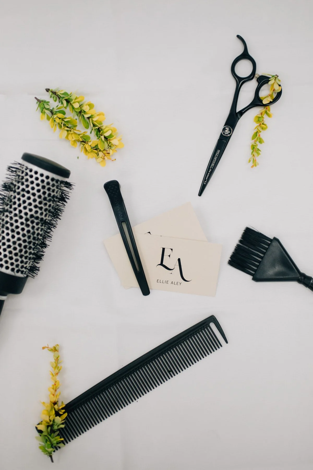 IMG_0447-Edit 4x6.jpg