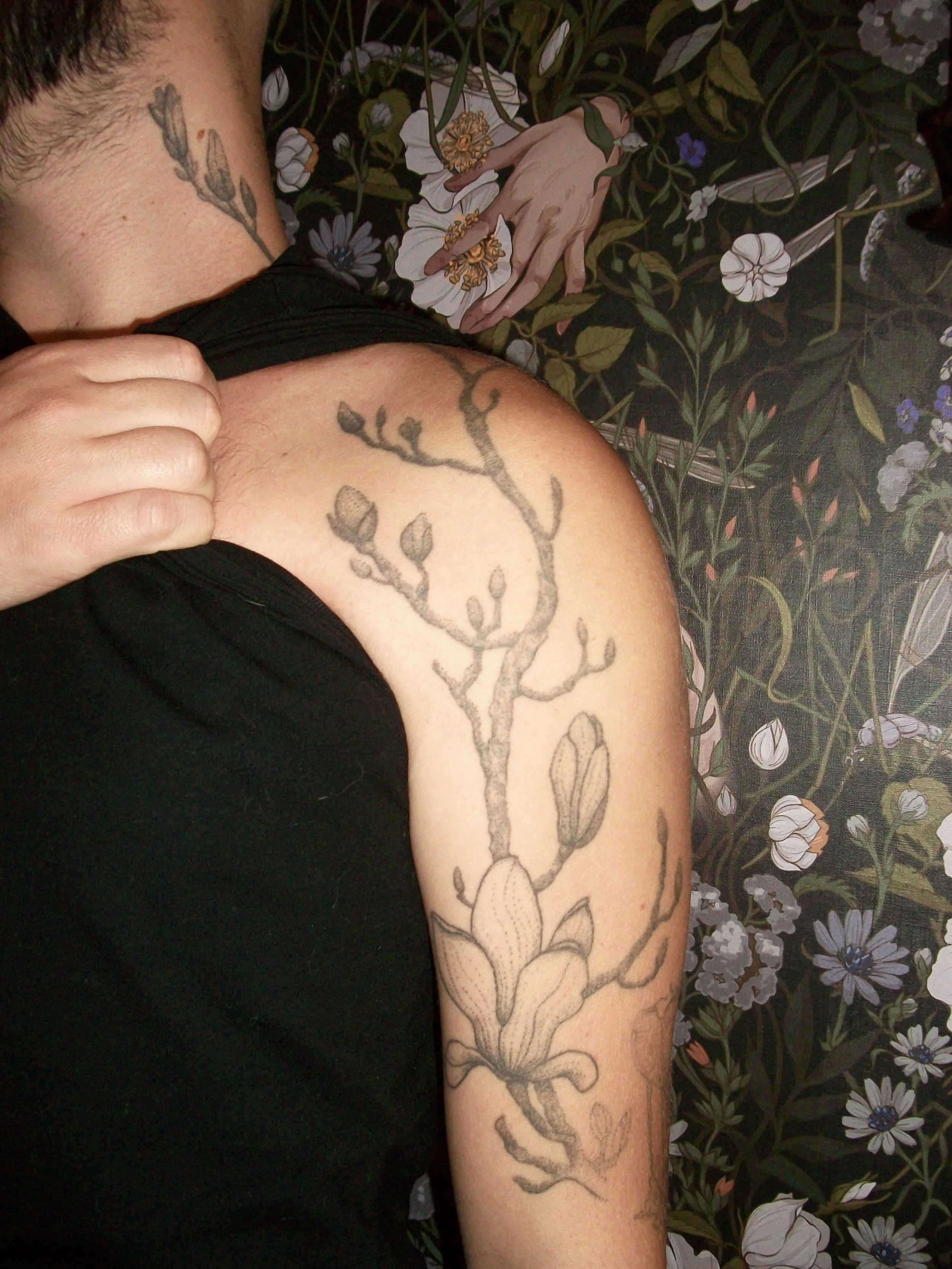 magnolia branch ~6 years healed