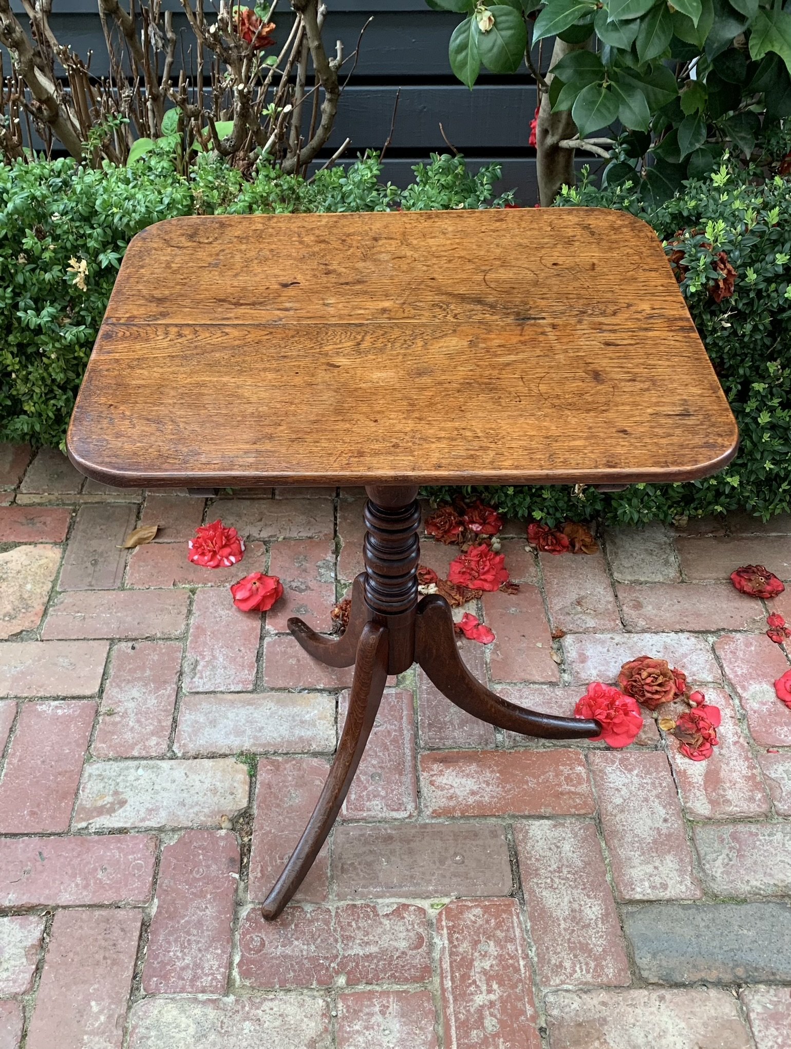 Georgian oak occasional table, front view of rounded rectangular tilt-top