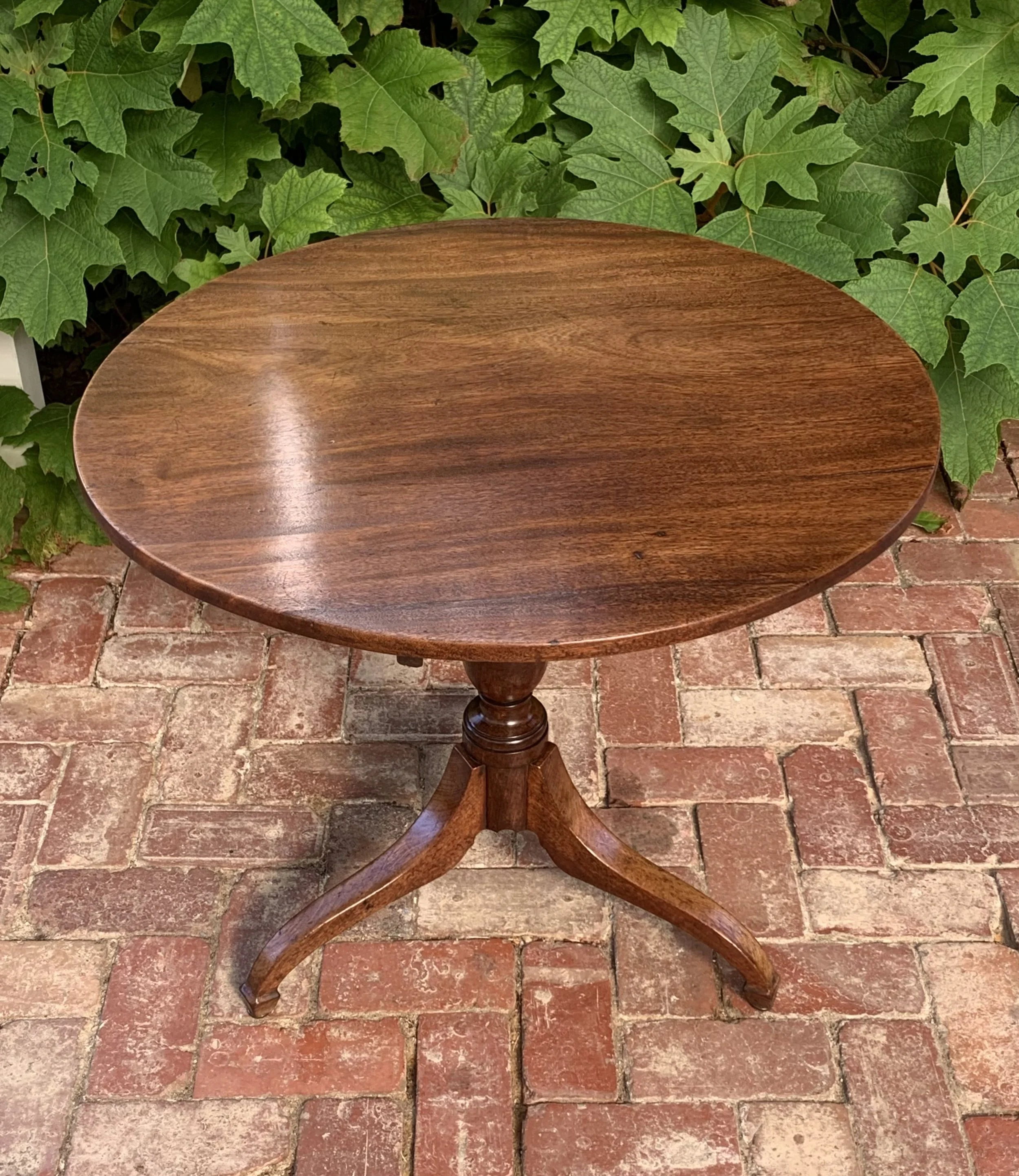 Birdseye view of English Regency tilt-top wine or lamp table C.1800-1830 