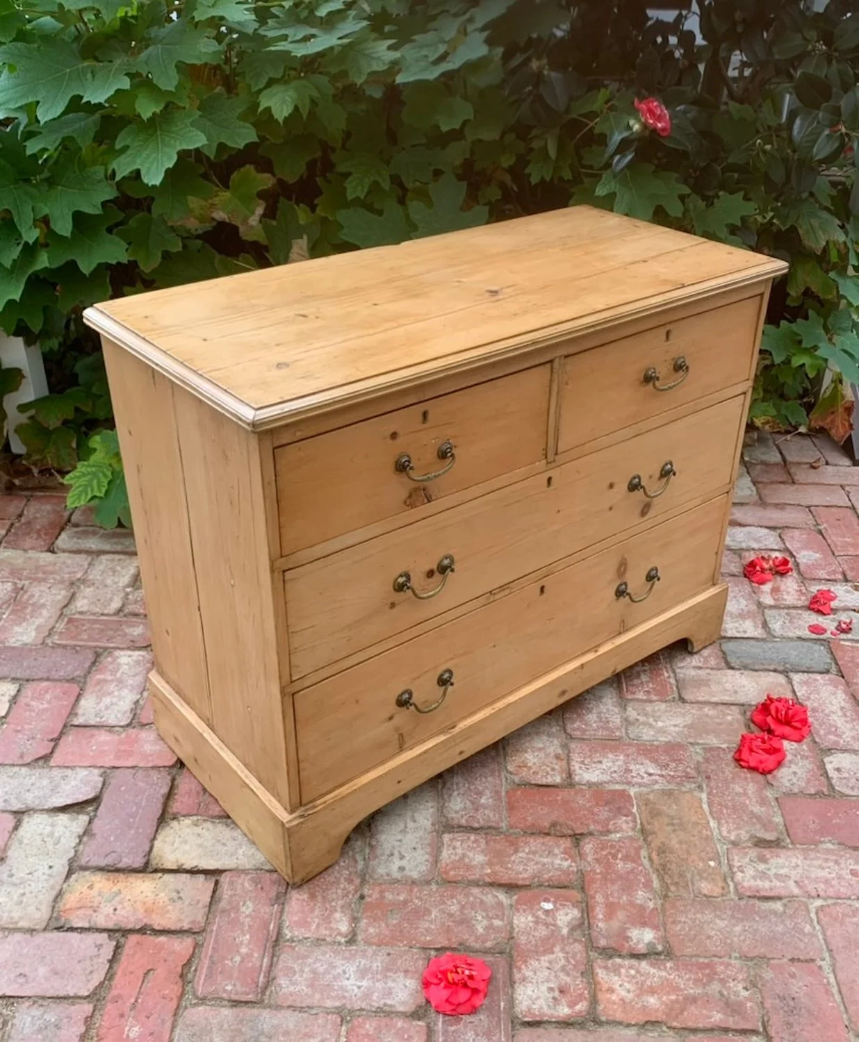Antique English pine chest angled view bracket feet brass swan-neck handles