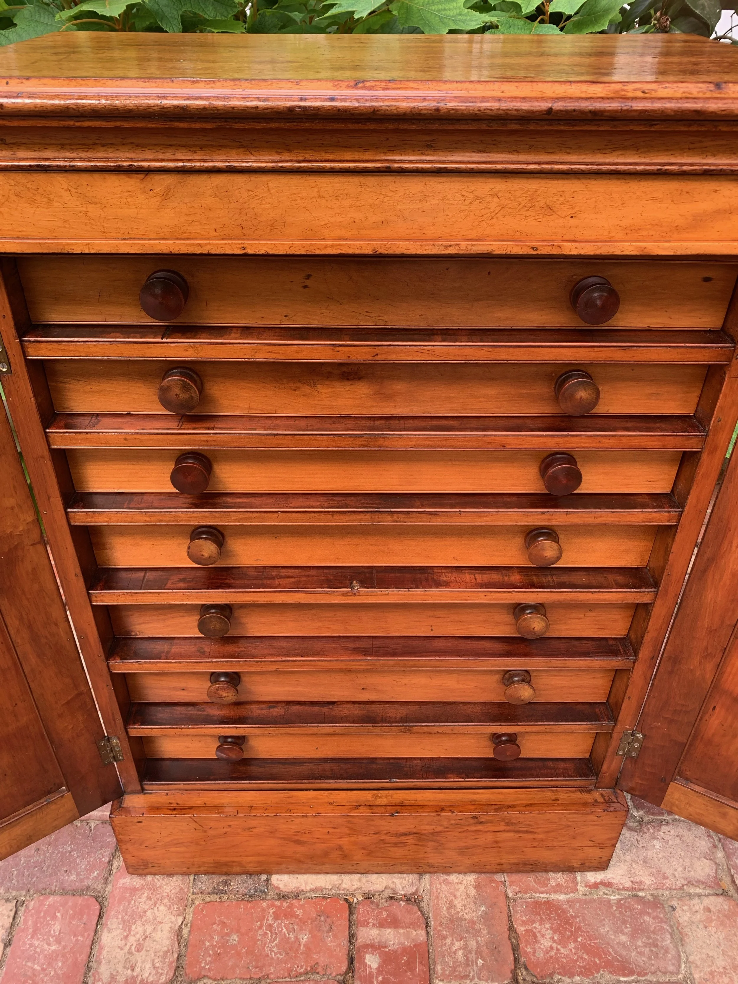 close up view of drawer bank of 19th century australian cedar collector's cabinet