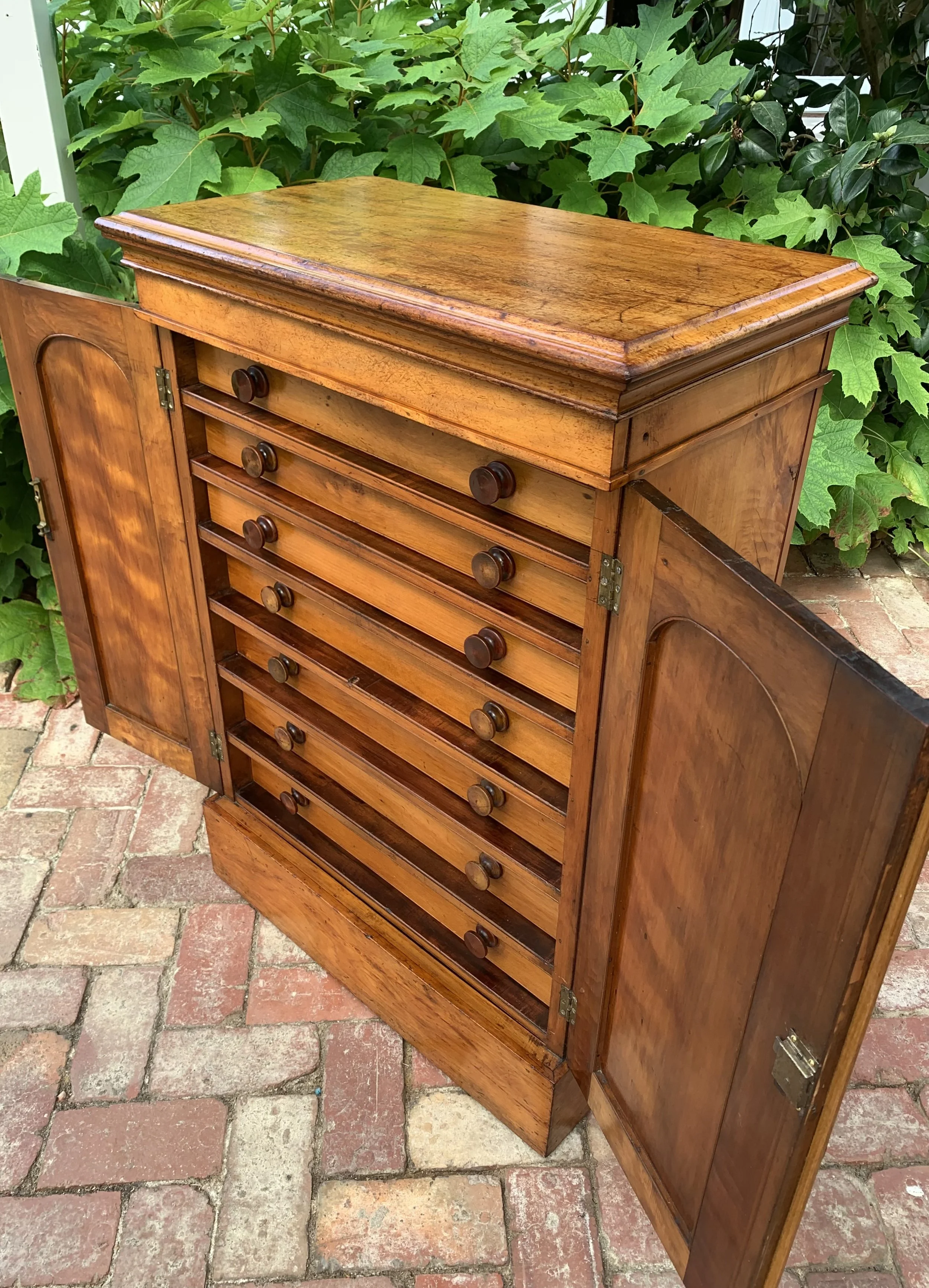 Angled view of antique Australian cedar and satin walnut collector's cabinet with drawer bank revealed