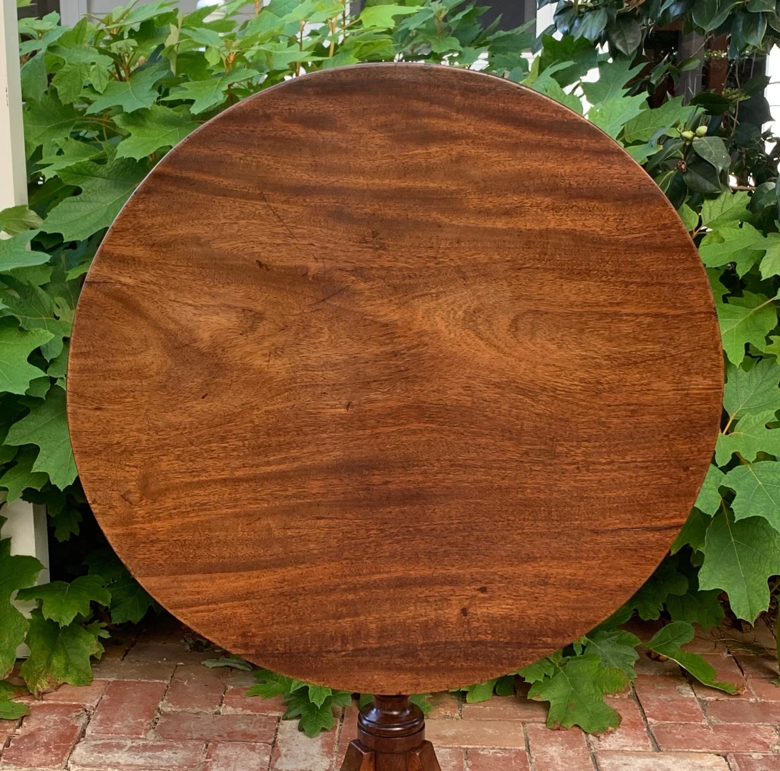Close up of table top surface on English mahogany Georgian tilt-top wine table C.1810-1830 