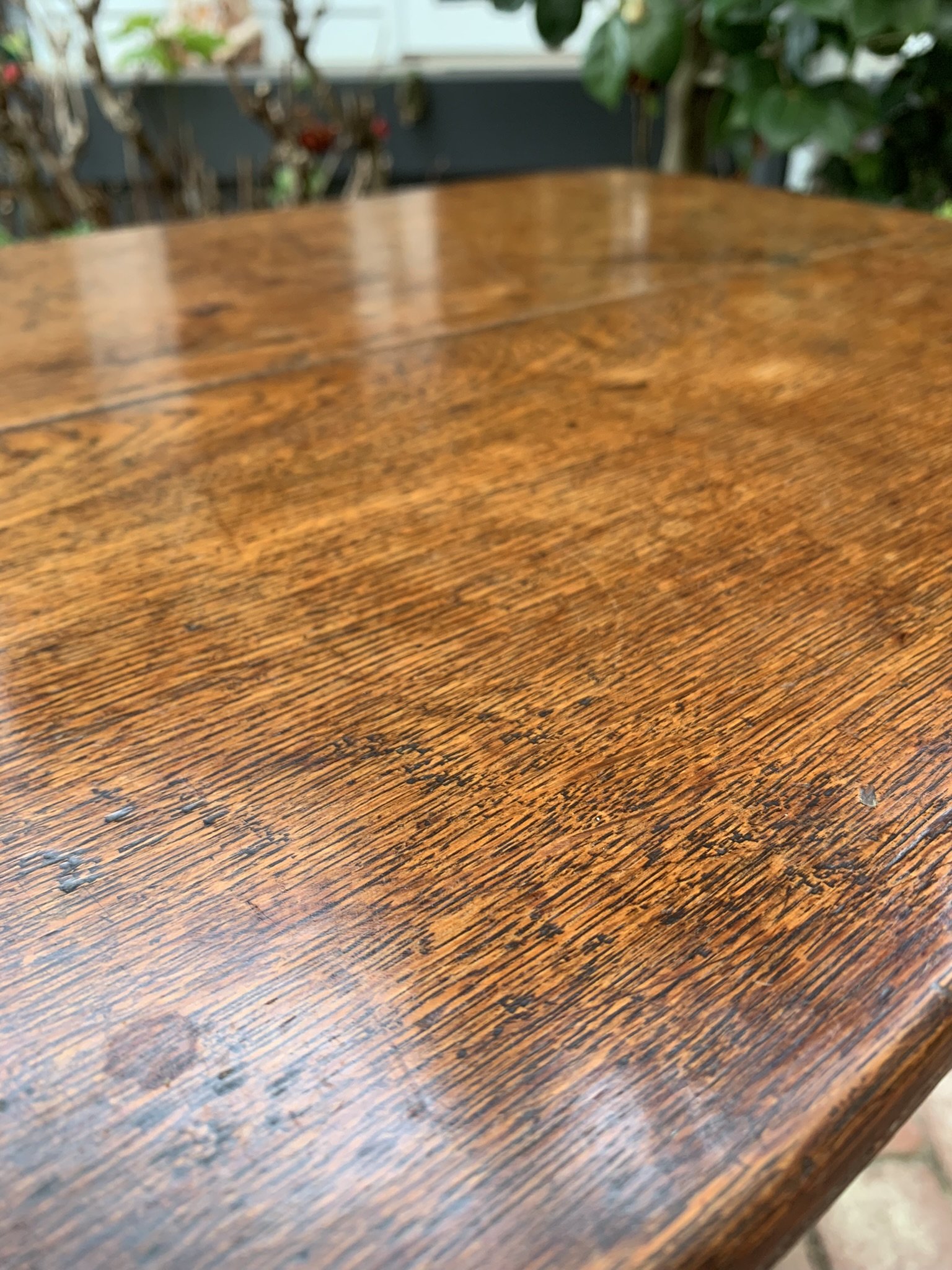 Close-up of oak grain and patina, Georgian tilt-top table C.1800-1820