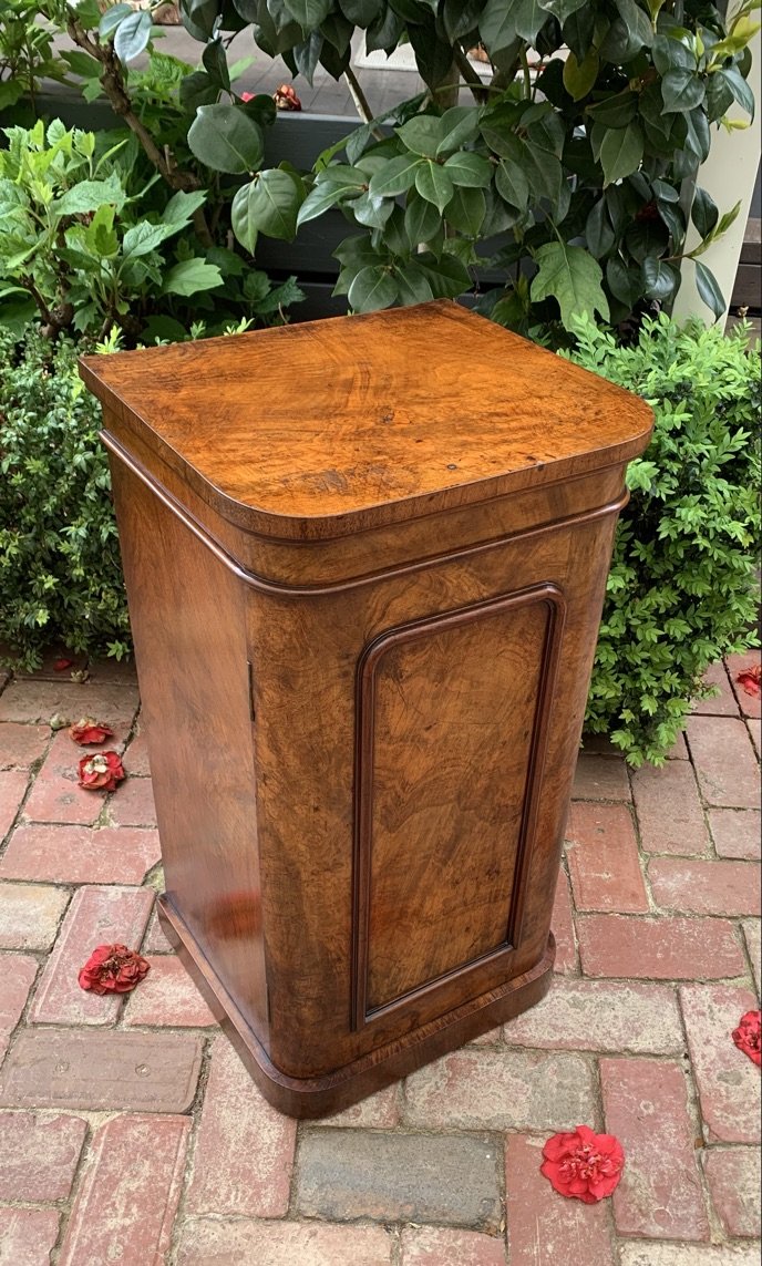 Antique Victorian pot cupboard in burr walnut, English bedside cabinet, rear three-quarter view
