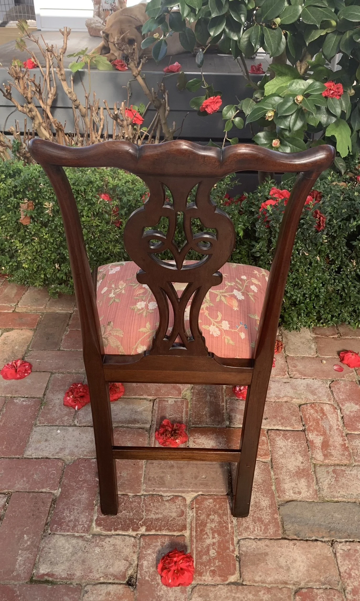 Chippendale style mahogany dining chair, pierced interlaced splat, chamfered legs, H-stretcher