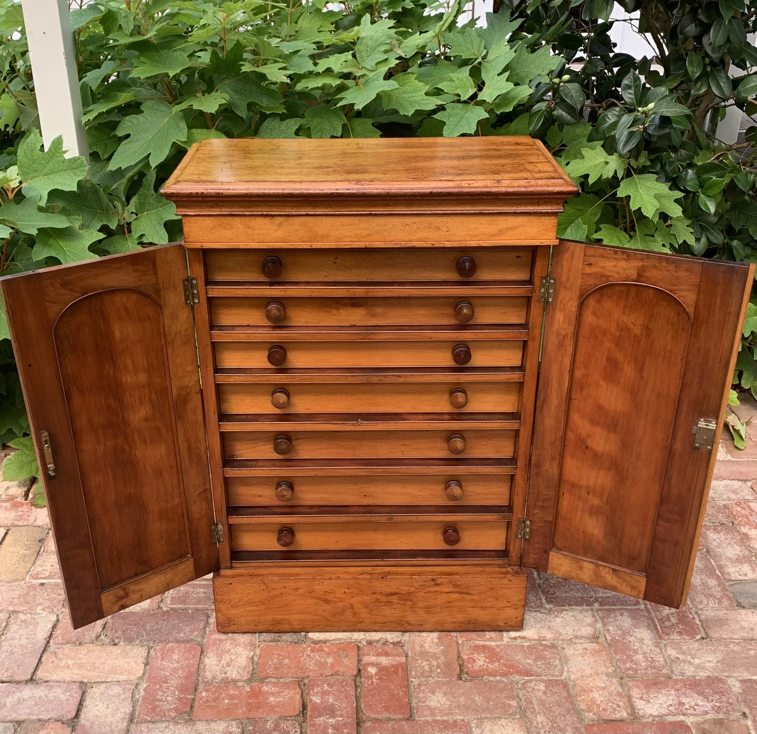 19th Century Collector's Cabinet $1895