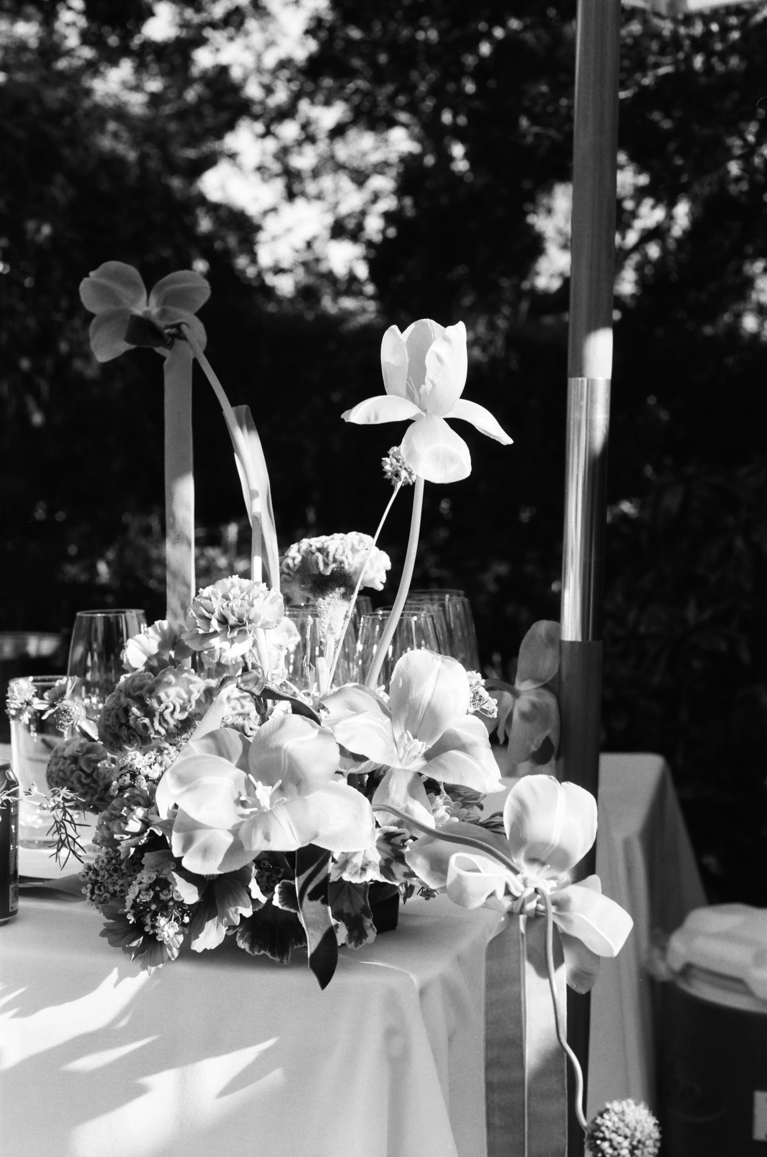 Becka-Julianna-Twin-Luminaries-2023-Reception9306.JPG