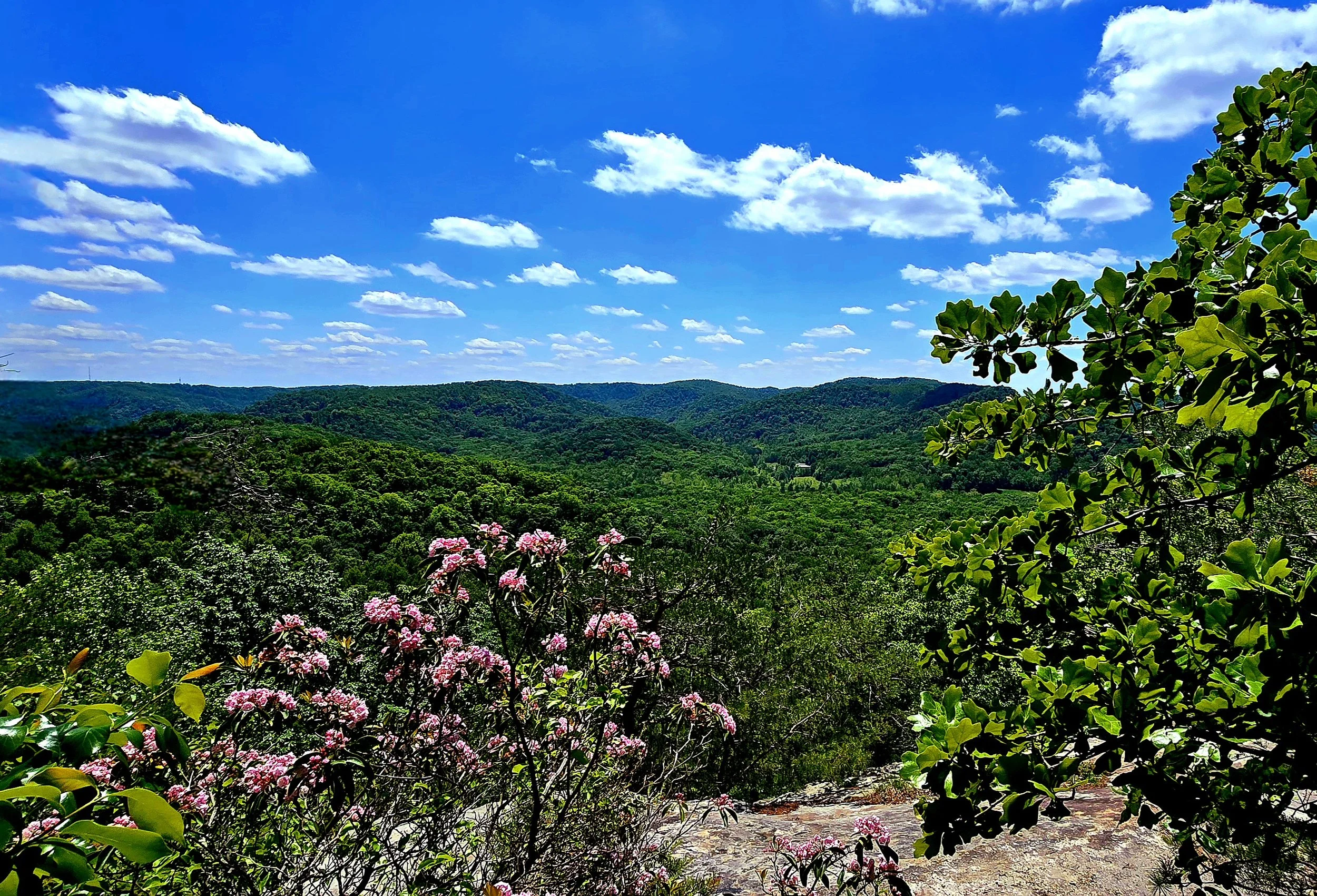 Mountain Majesty