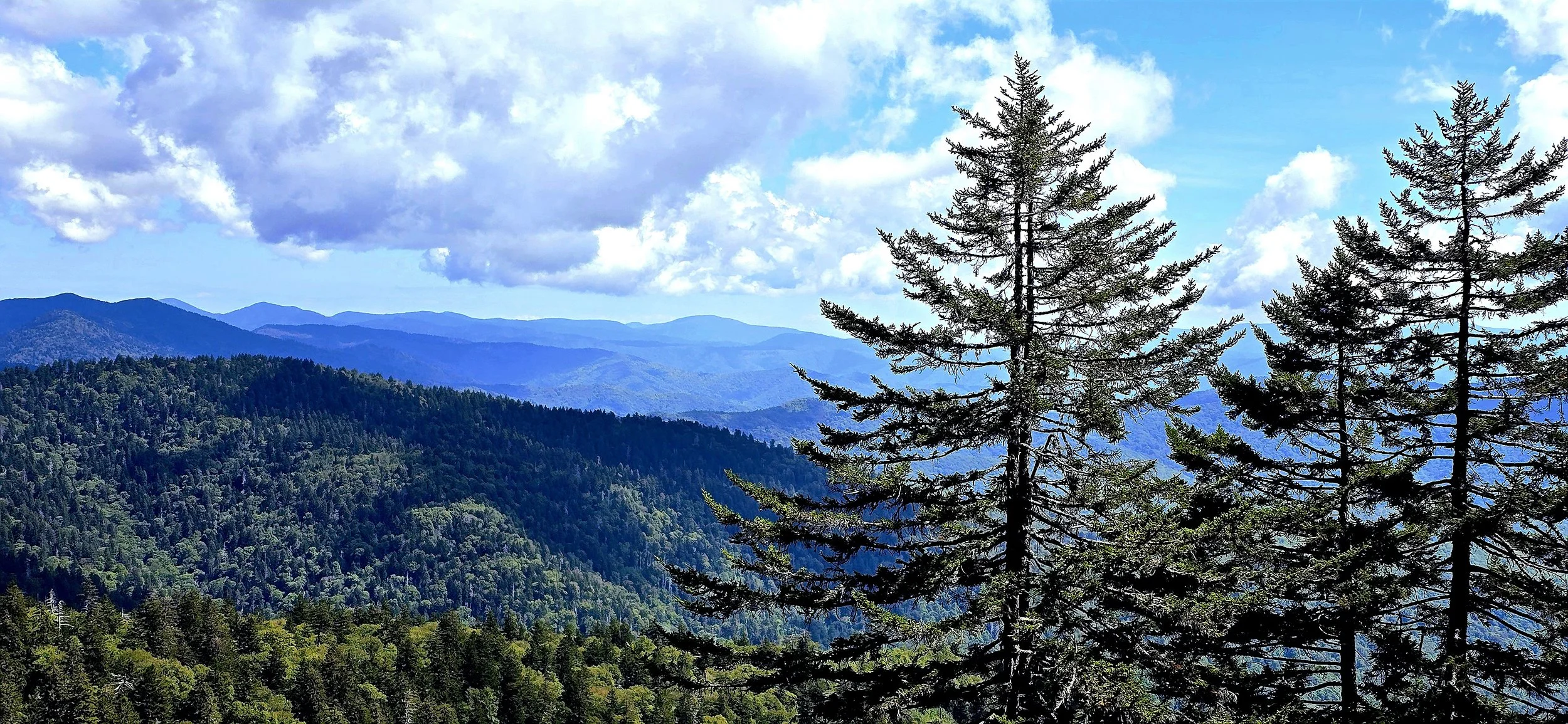 Mountain Majesty
