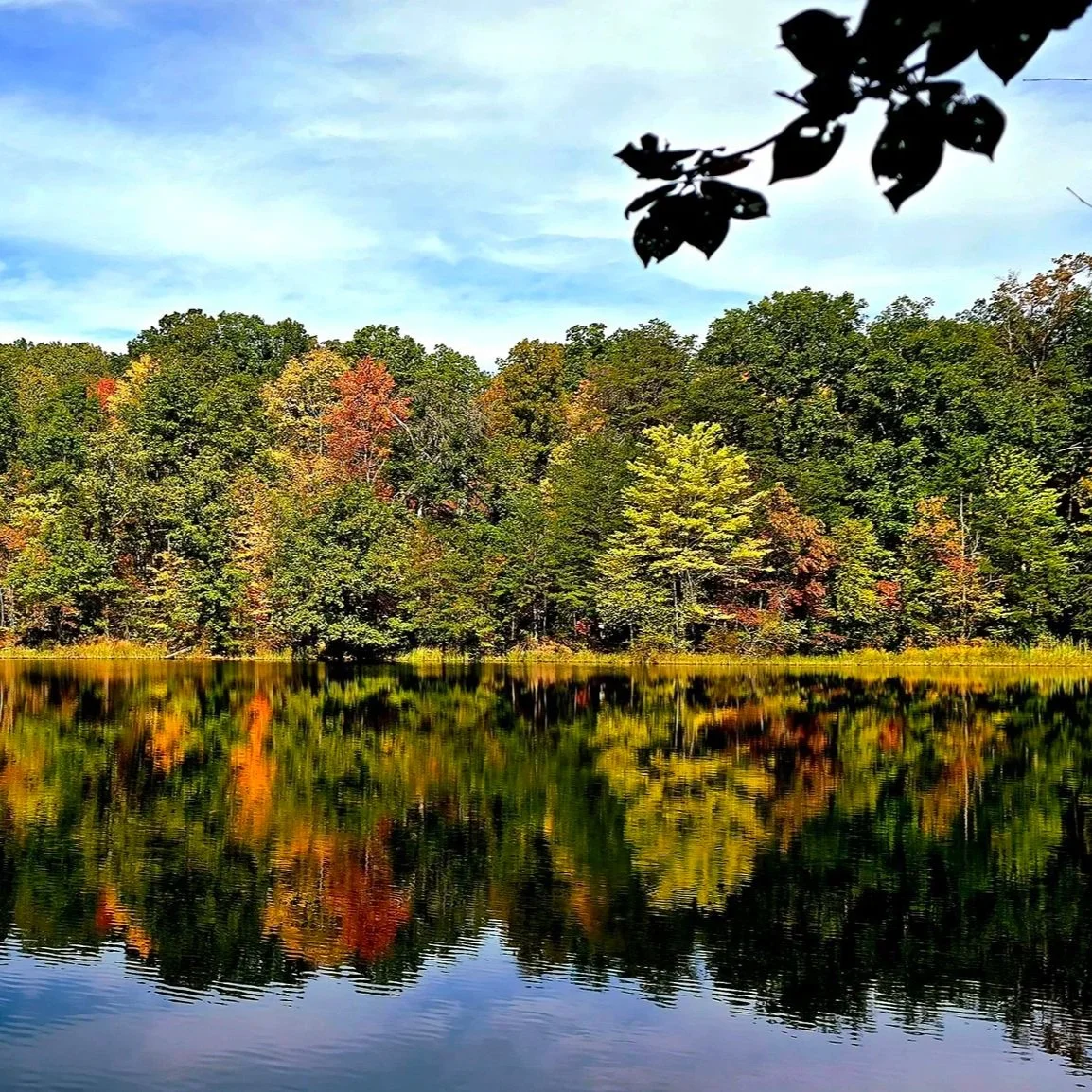 Reflections