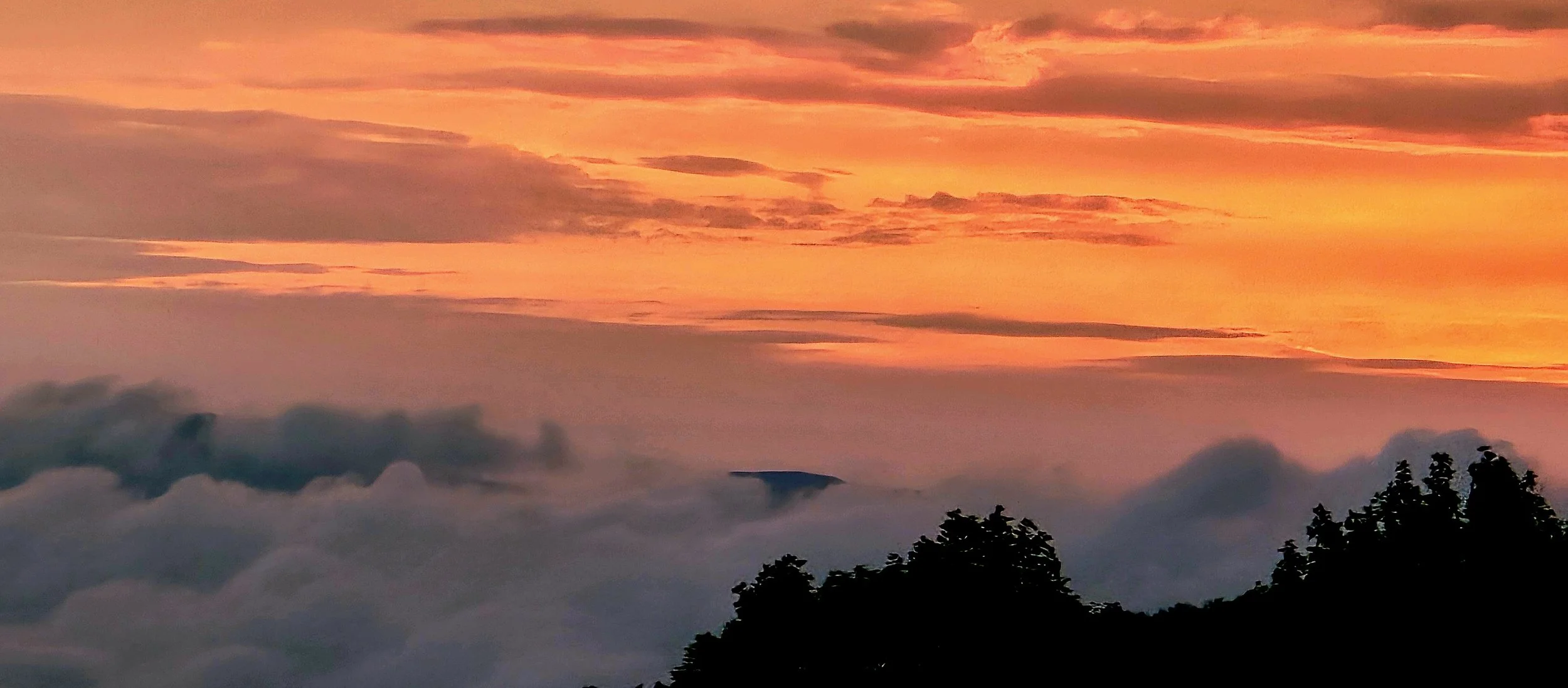 Sunrise Sunset