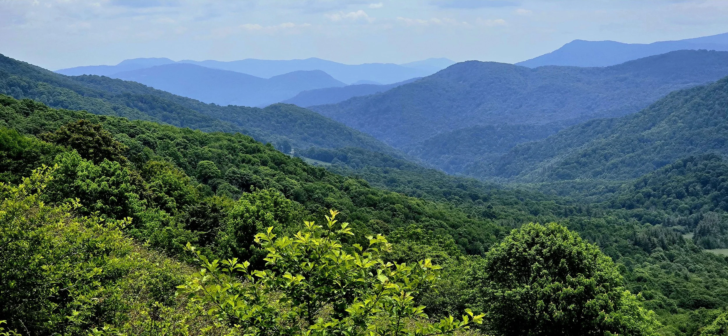 Mountain Majesty
