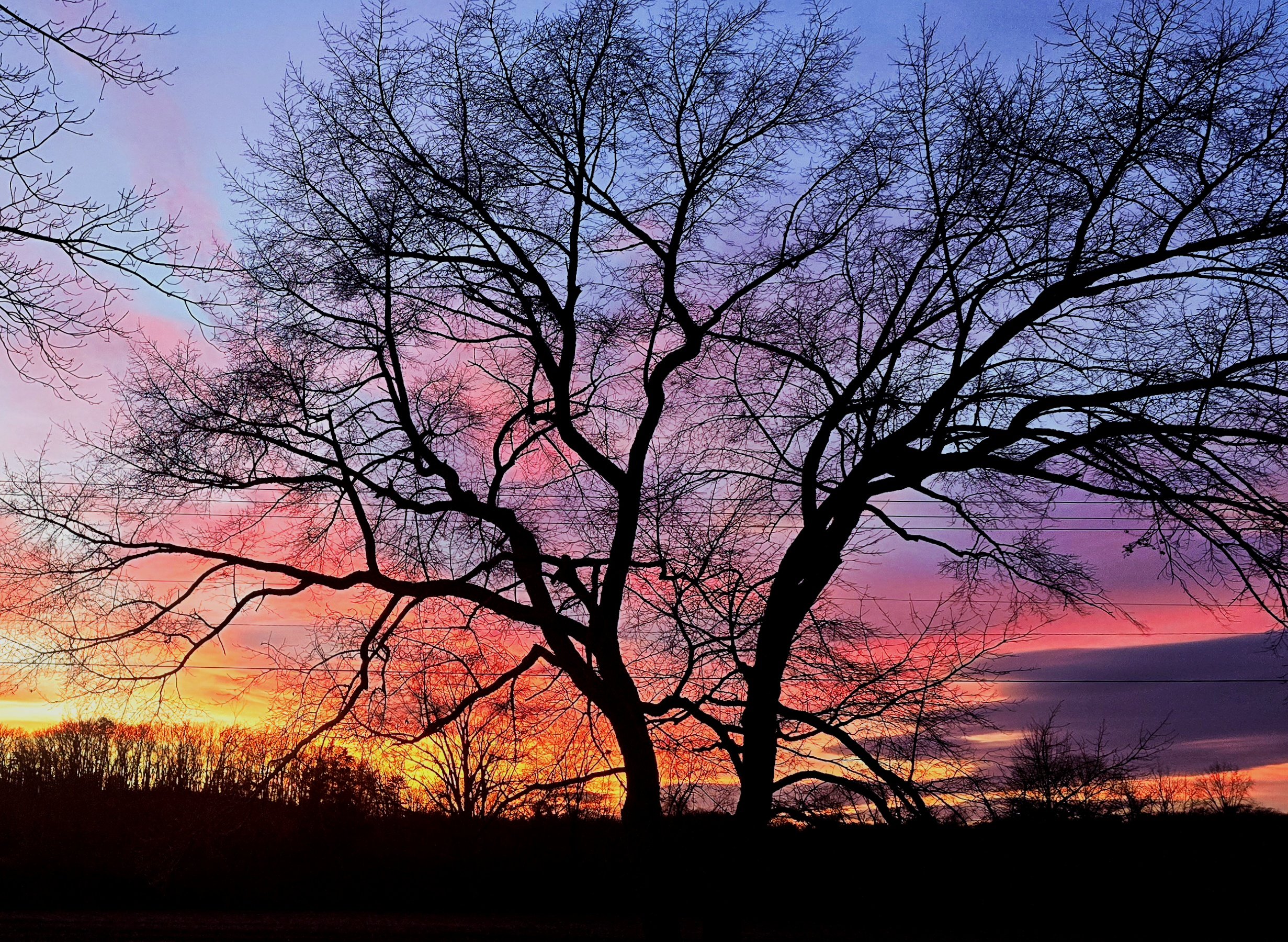 Sunrise Sunset