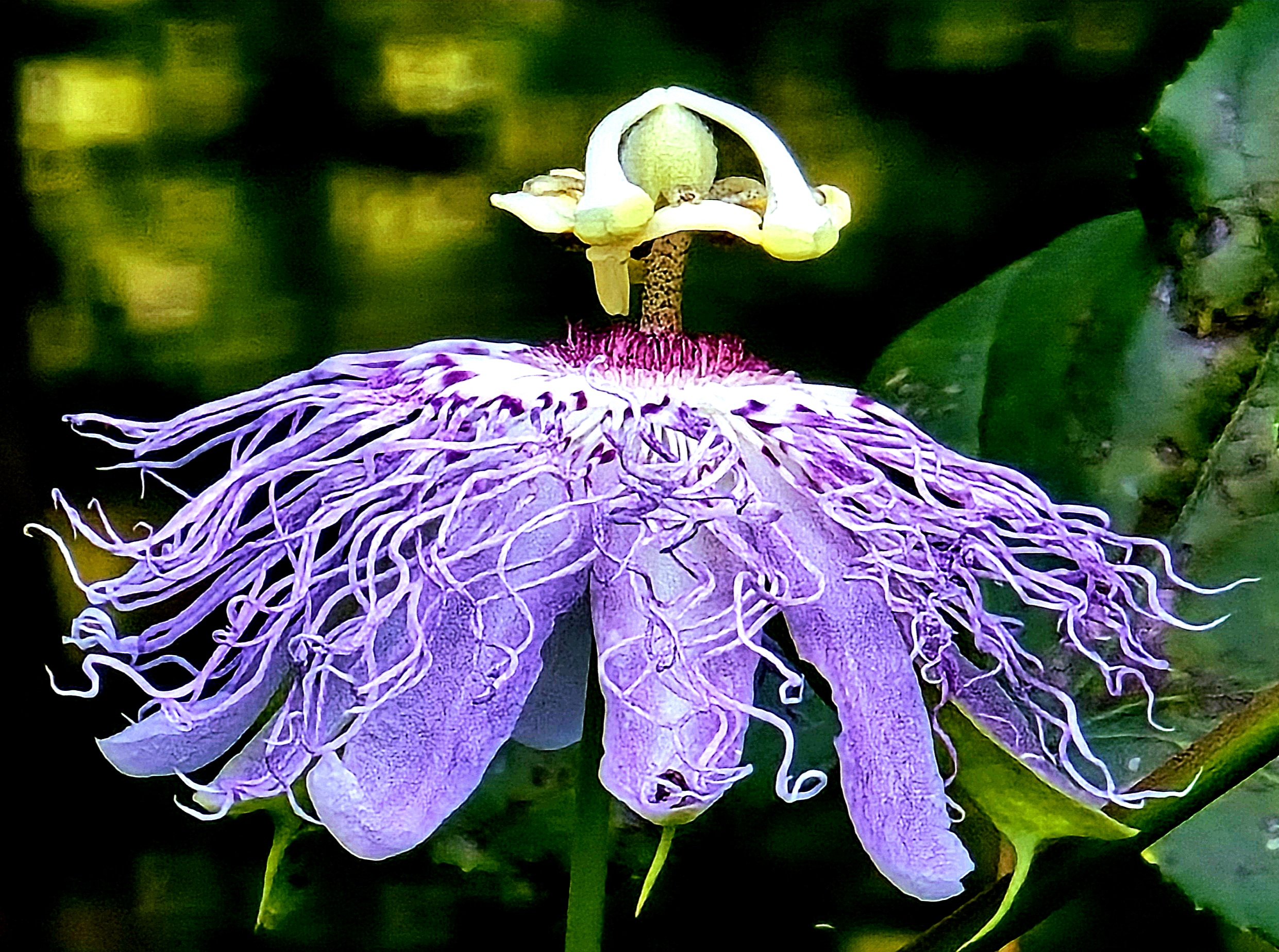 PhotoArt