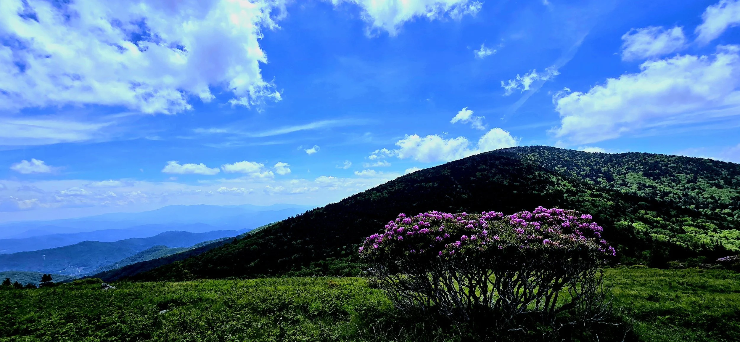 Mountain Majesty
