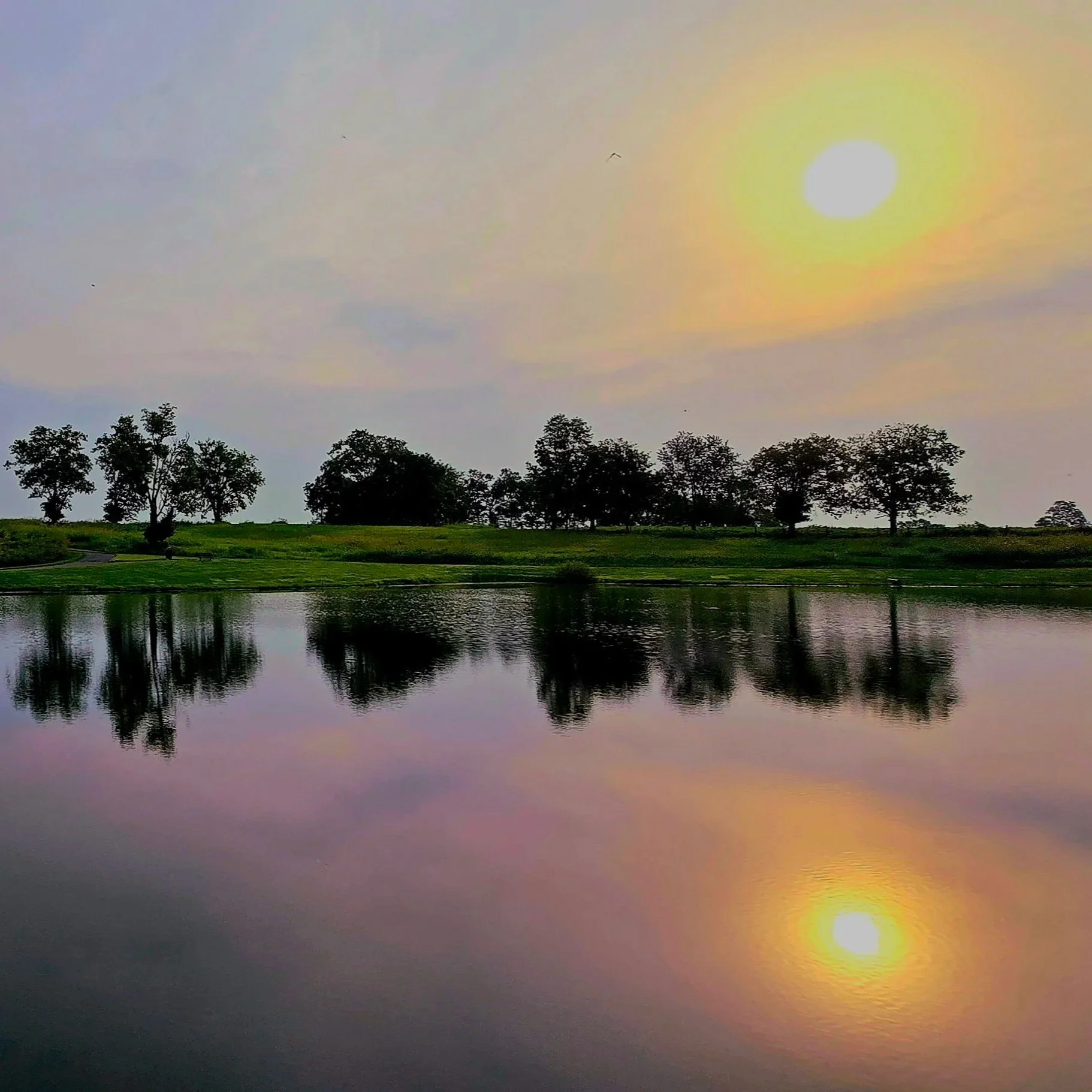 Reflections