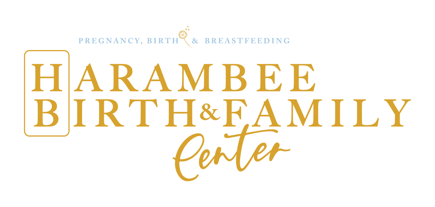 Harambee Birth &amp; Family Center