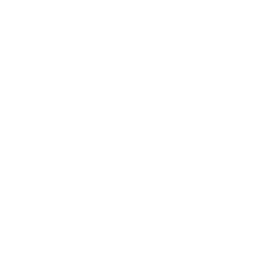 FNA  group Logo (1).png