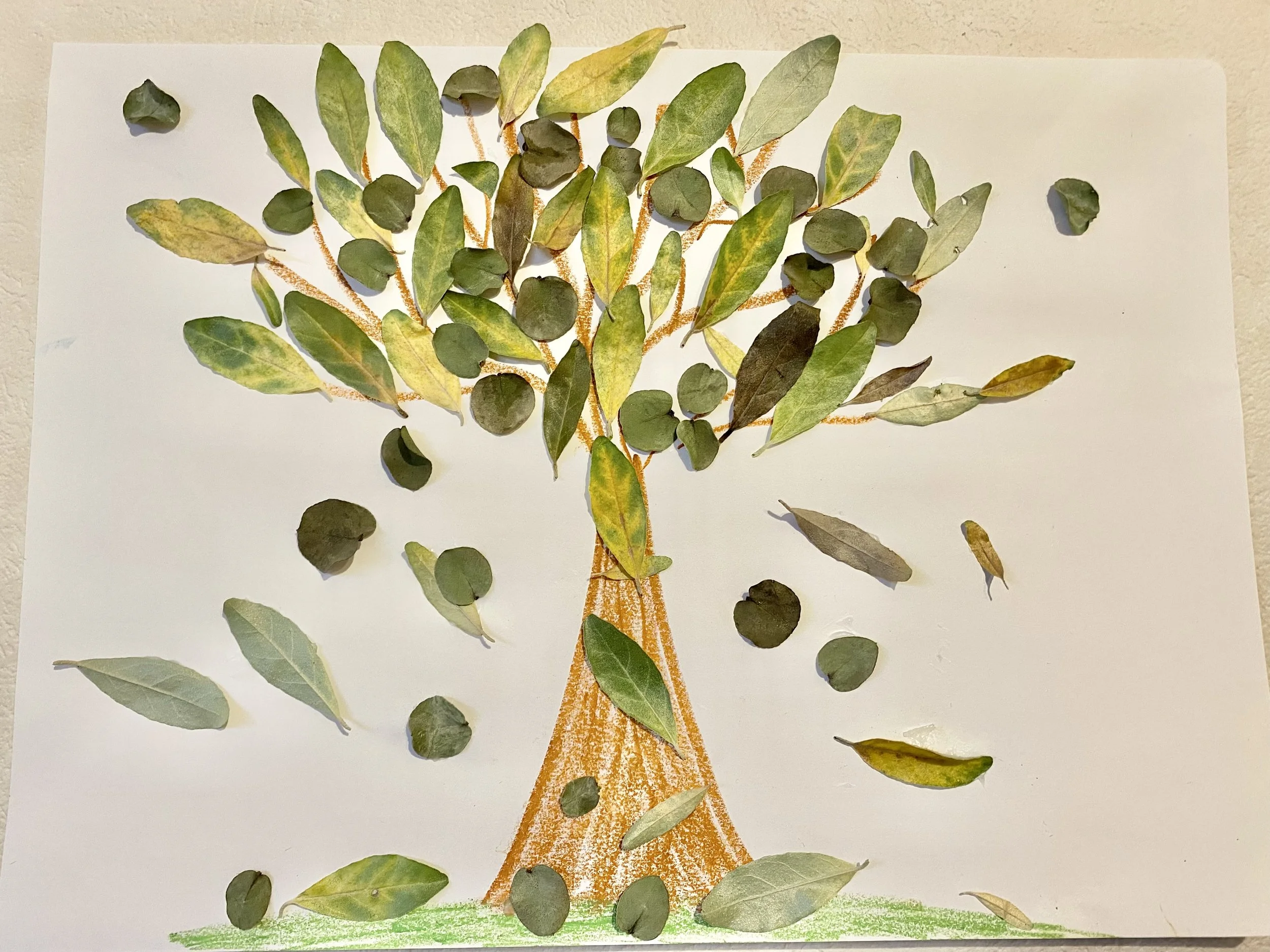 脳の治療の前と後に思うこと