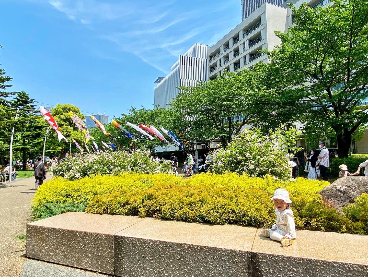 ５月のまとめと自己成長に乾杯！