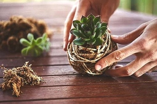Kokedama Workshop with Lucy Davenport of Bonsai Akira