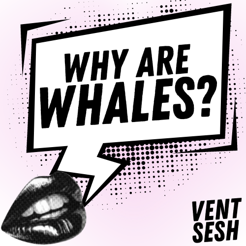 why are whales.png