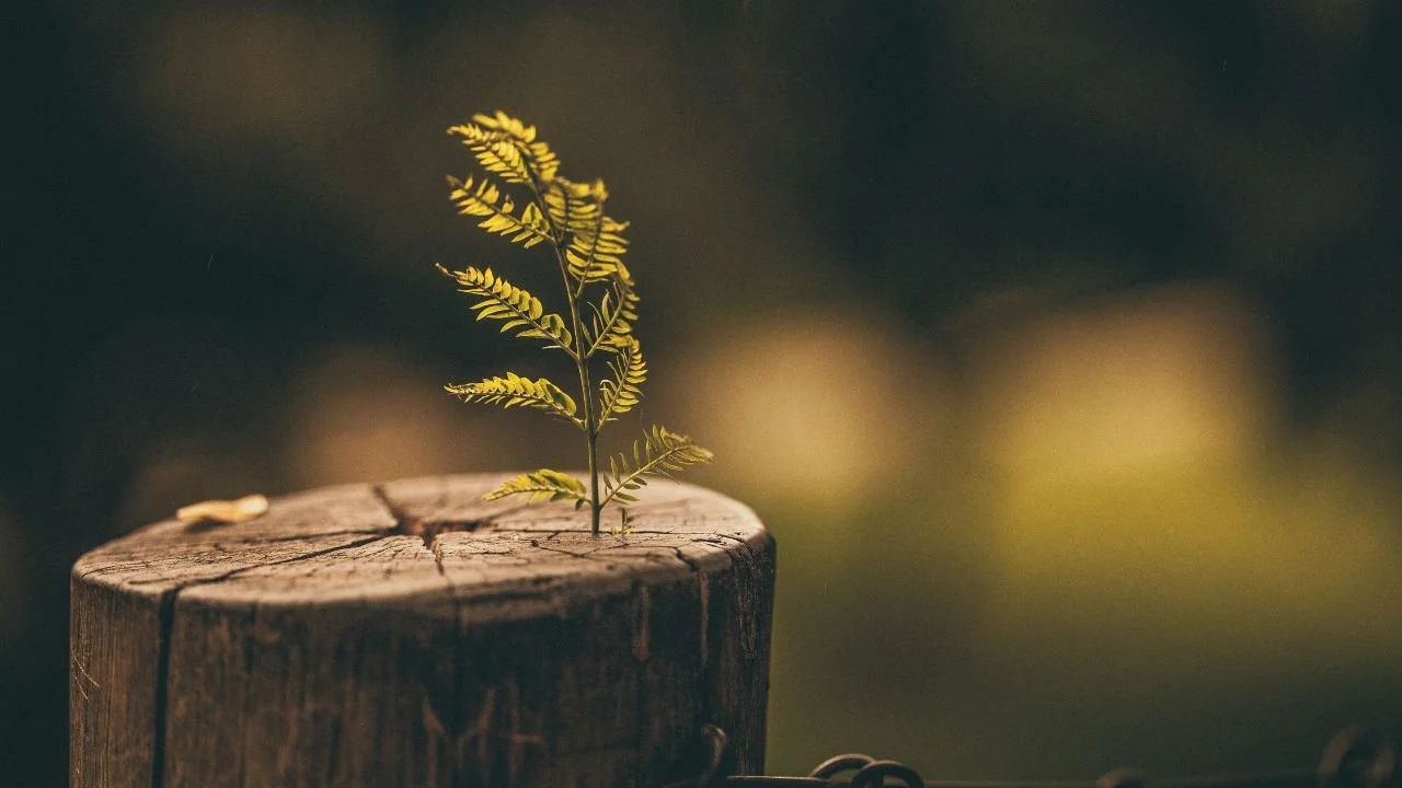 Building Resilience Through Positive Psychology