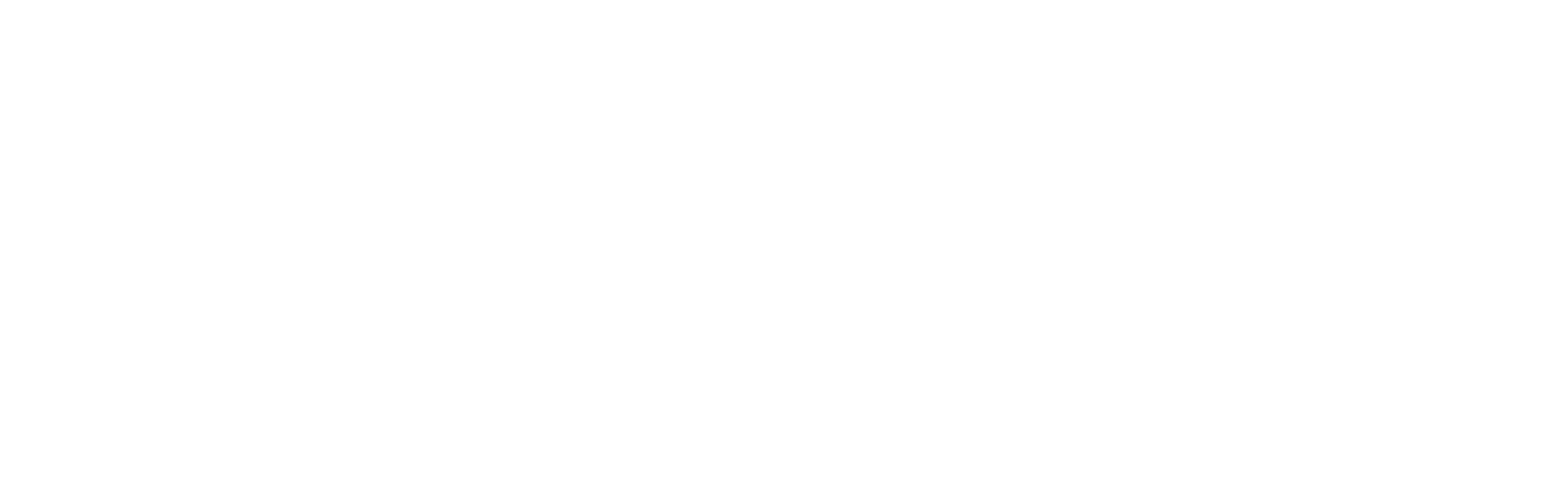 Performance Physio 