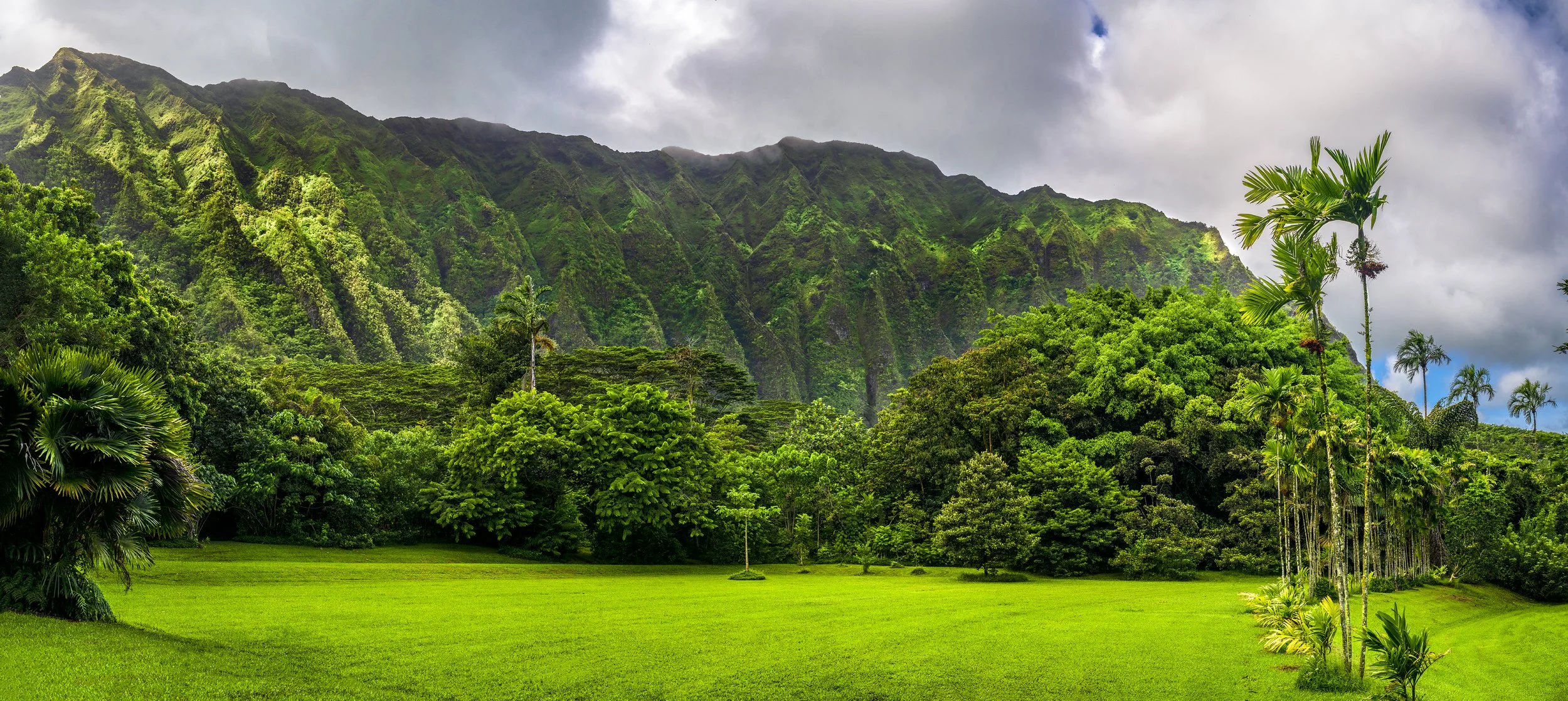 botanical garden copy.jpg