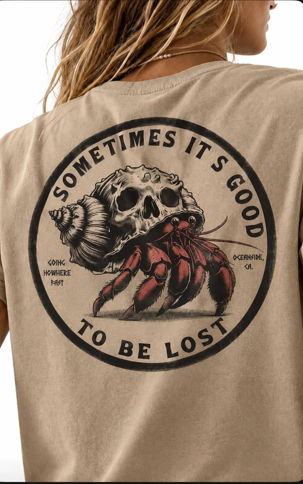 hermit crab model.jpg