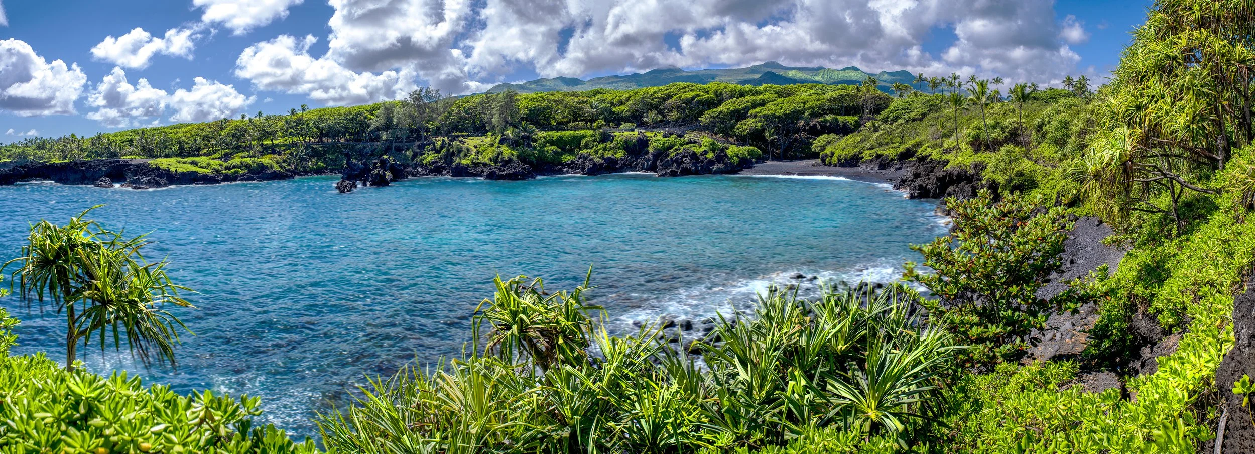 black sand beach.jpg