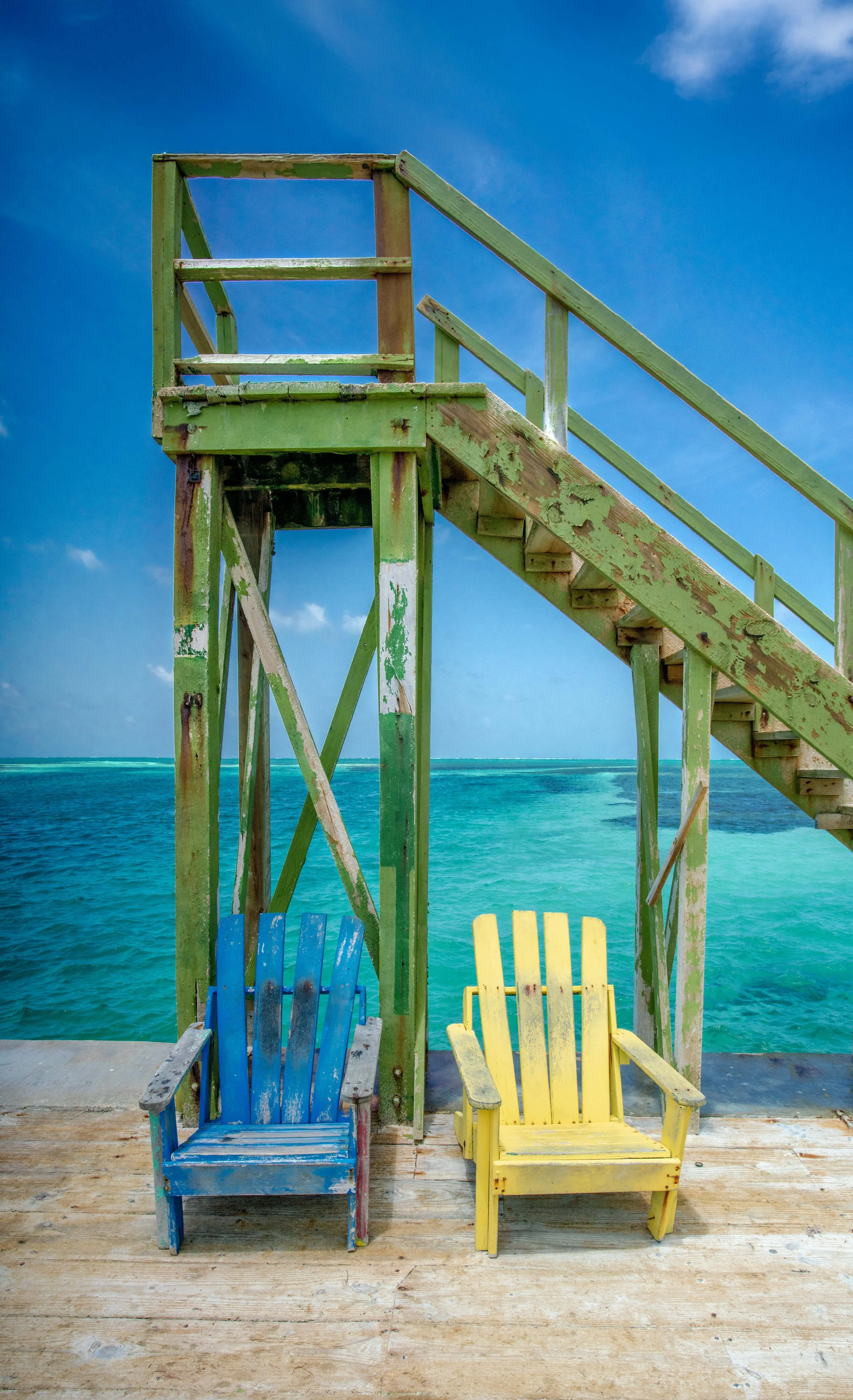 LazyLizard Belize copy.jpg