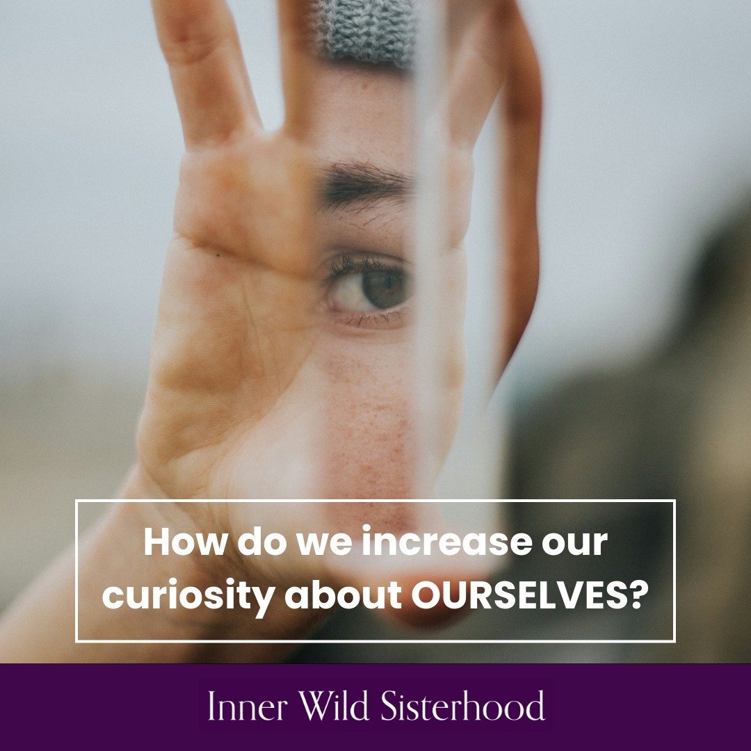 I&rsquo;m naturally a curious person, which is an enormous benefit to me in the work that I do, whether that&rsquo;s in the context of sitting with women in one-on-ones or circle/group dynamics. Needless to say, it's been a critical piece in forming 