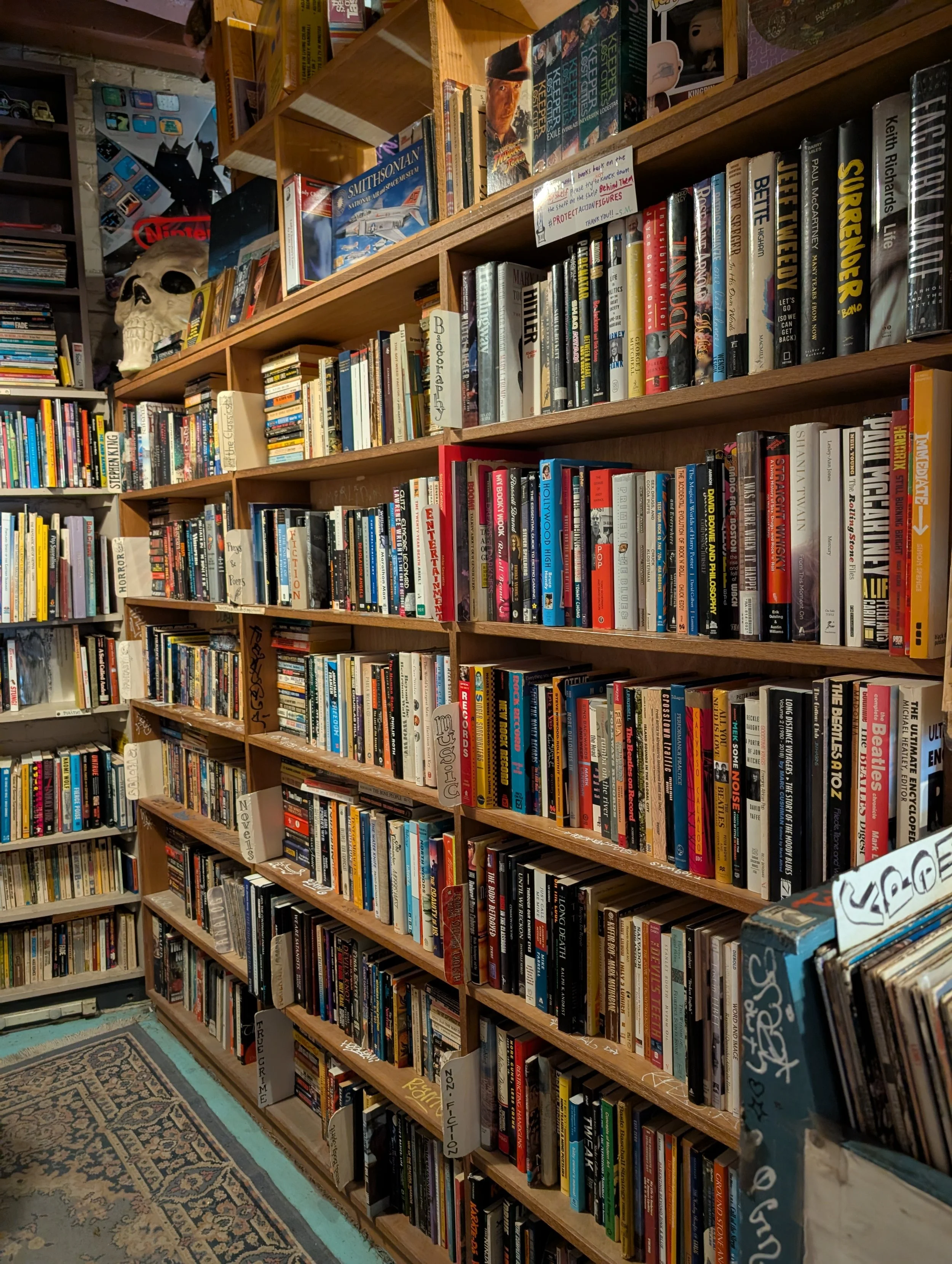 A bookshelf teeming with books with a skull and other items on top and a rug in front