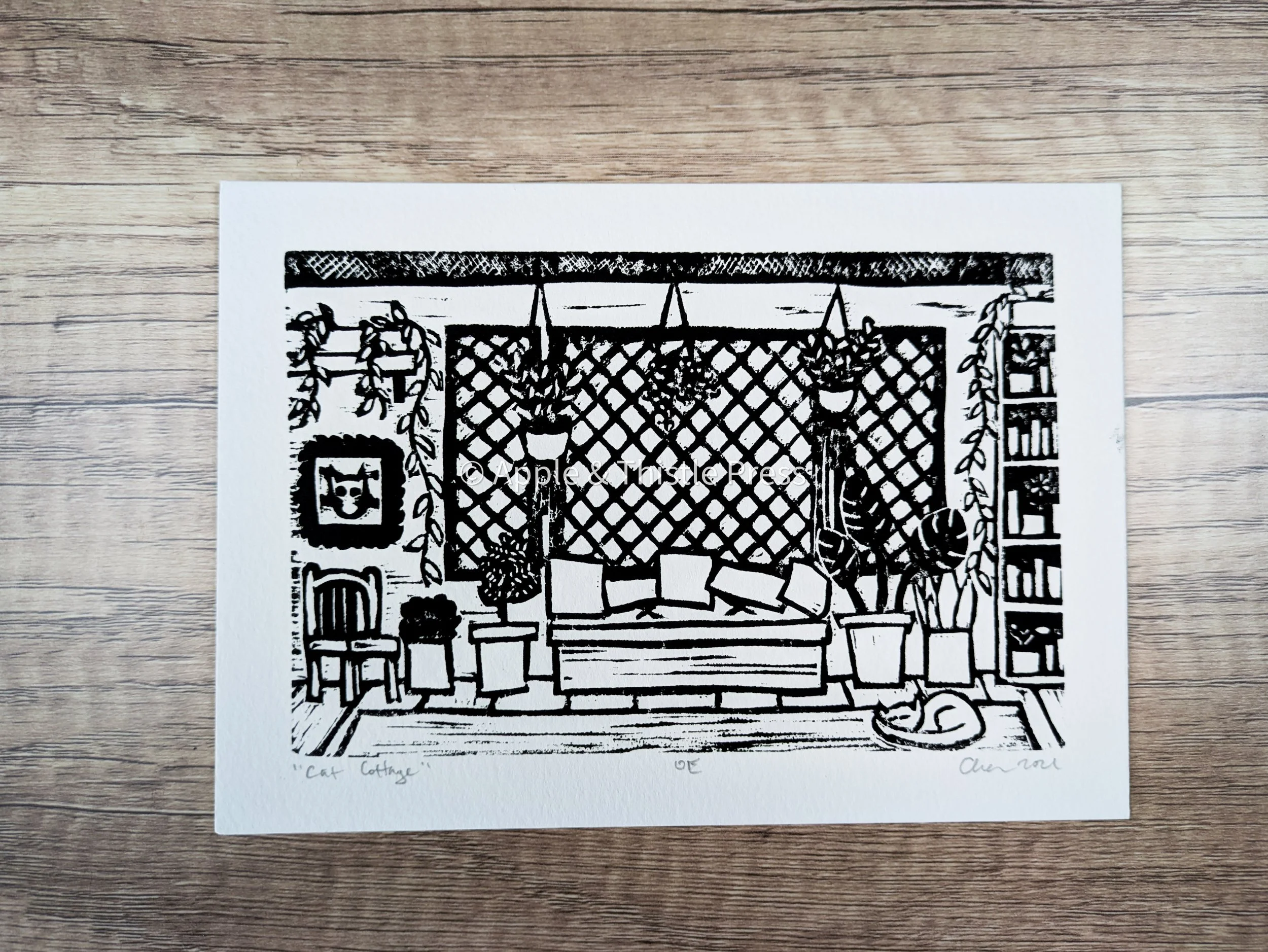 Cat Cottage 3.jpg