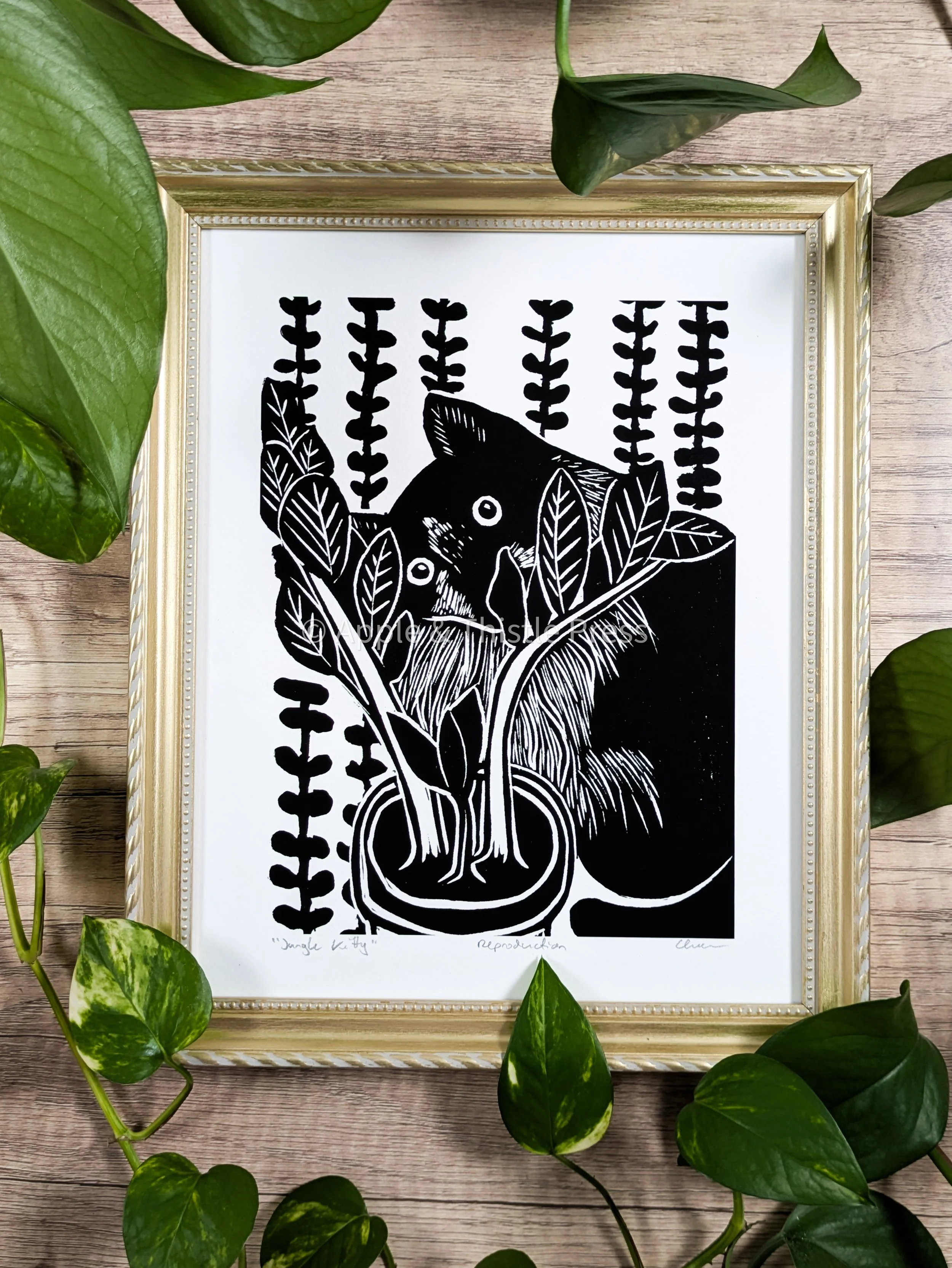 Jungle Kitty.jpg