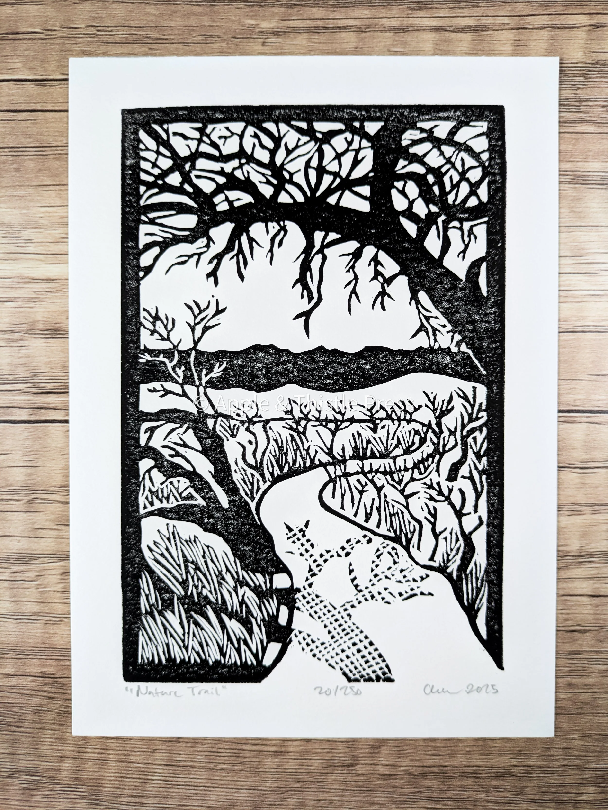 Nature Trail 5.jpg